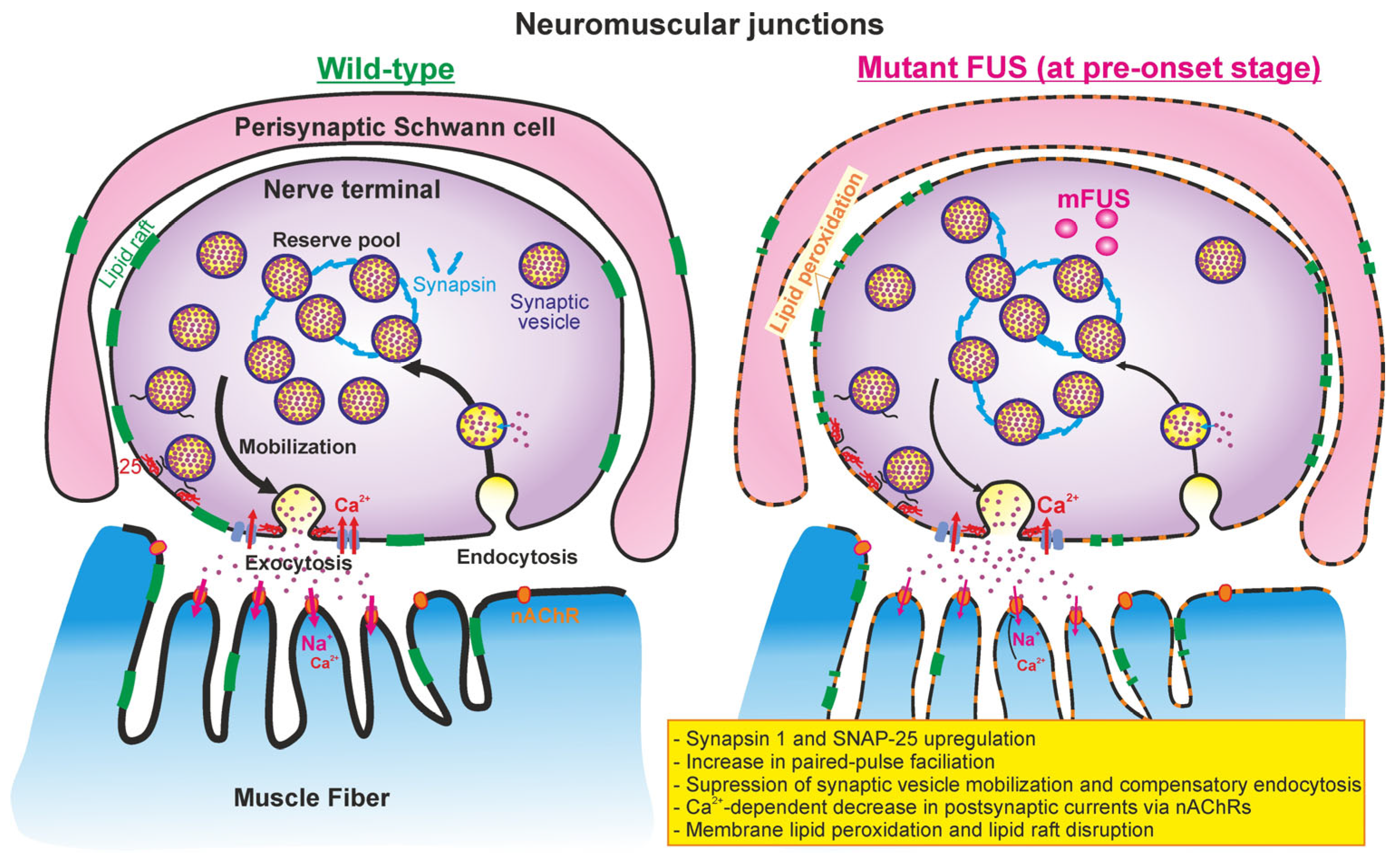 Ijms 24 09022 g008 Ijms 24 09022 g008