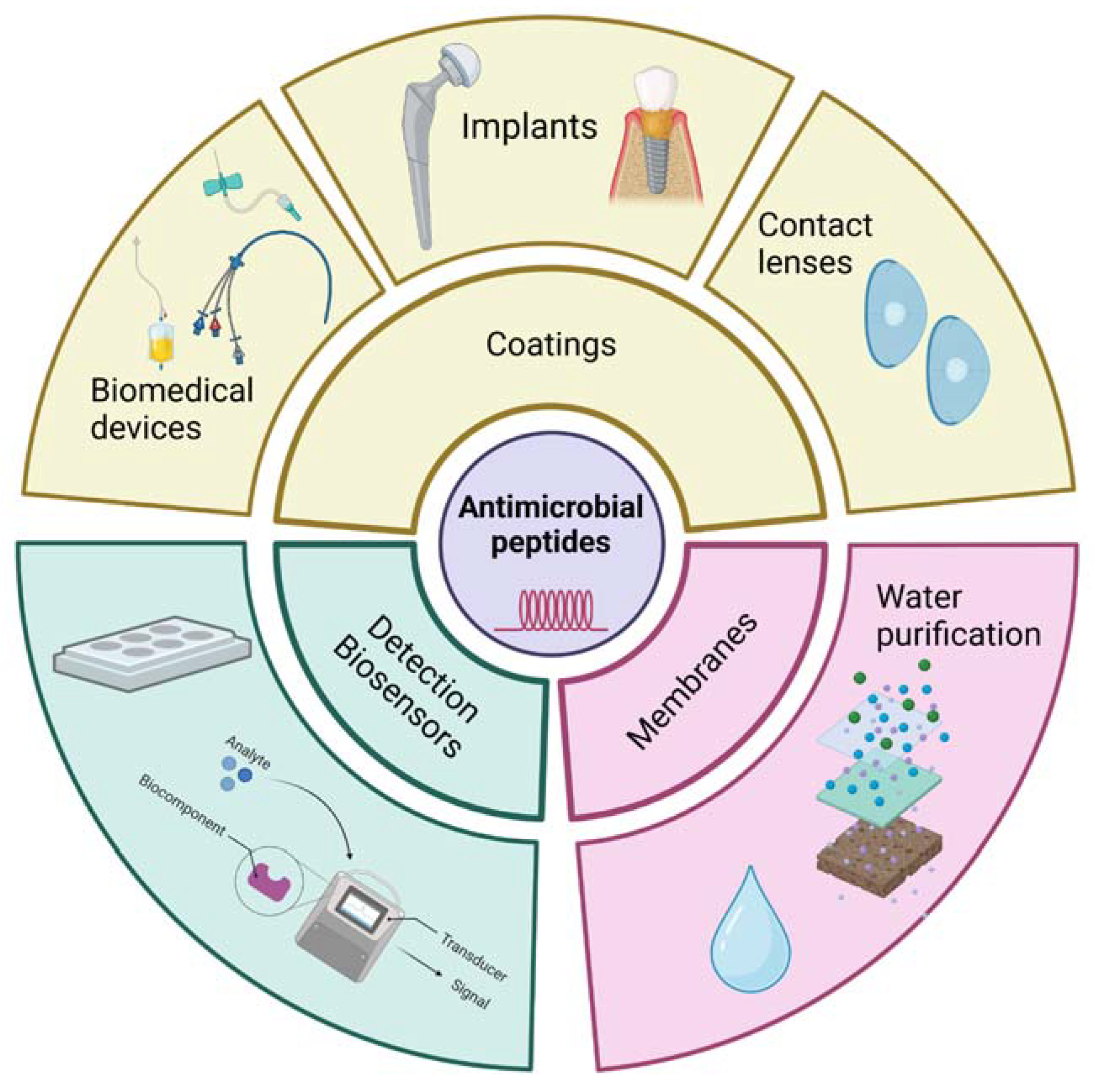 Ijms 24 09031 g006 Ijms 24 09031 g006