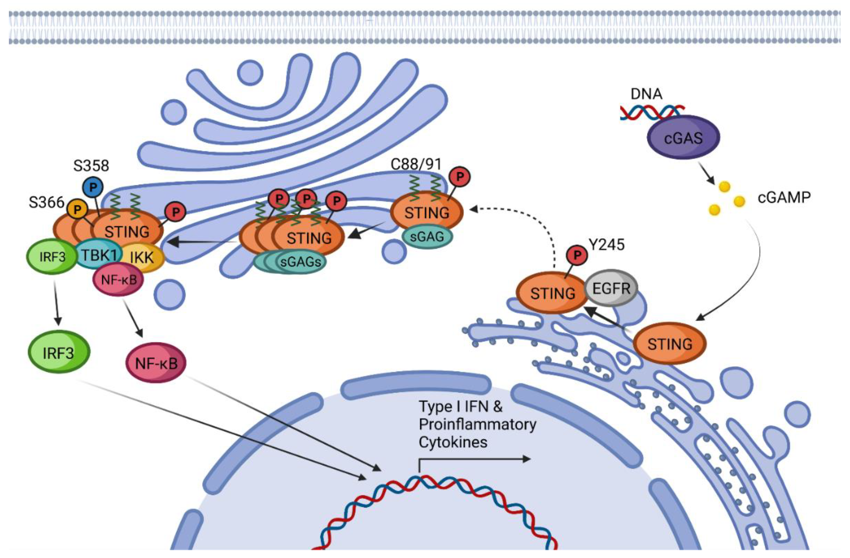 Ijms 24 09032 g001 Ijms 24 09032 g001