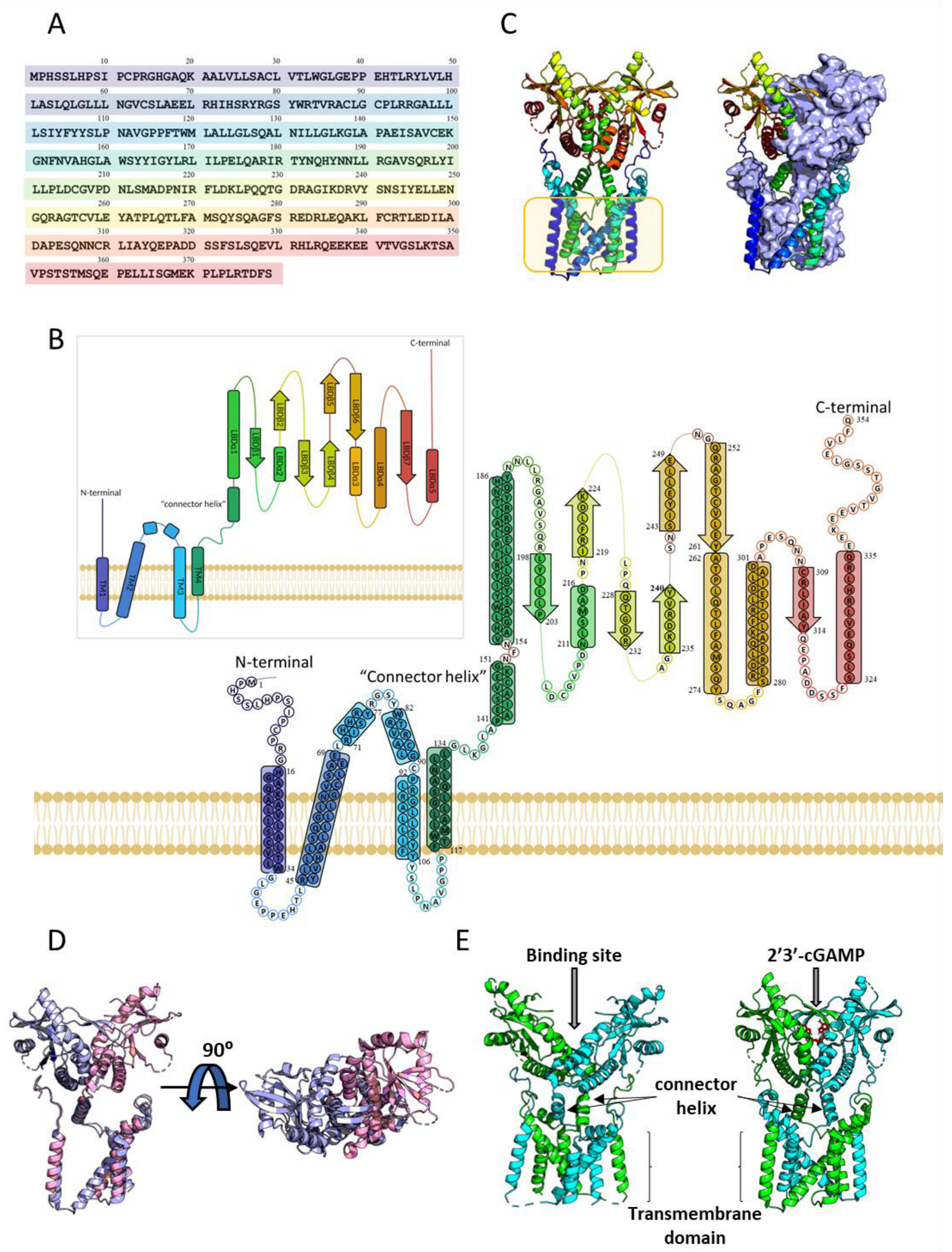 Ijms 24 09032 g003 Ijms 24 09032 g003