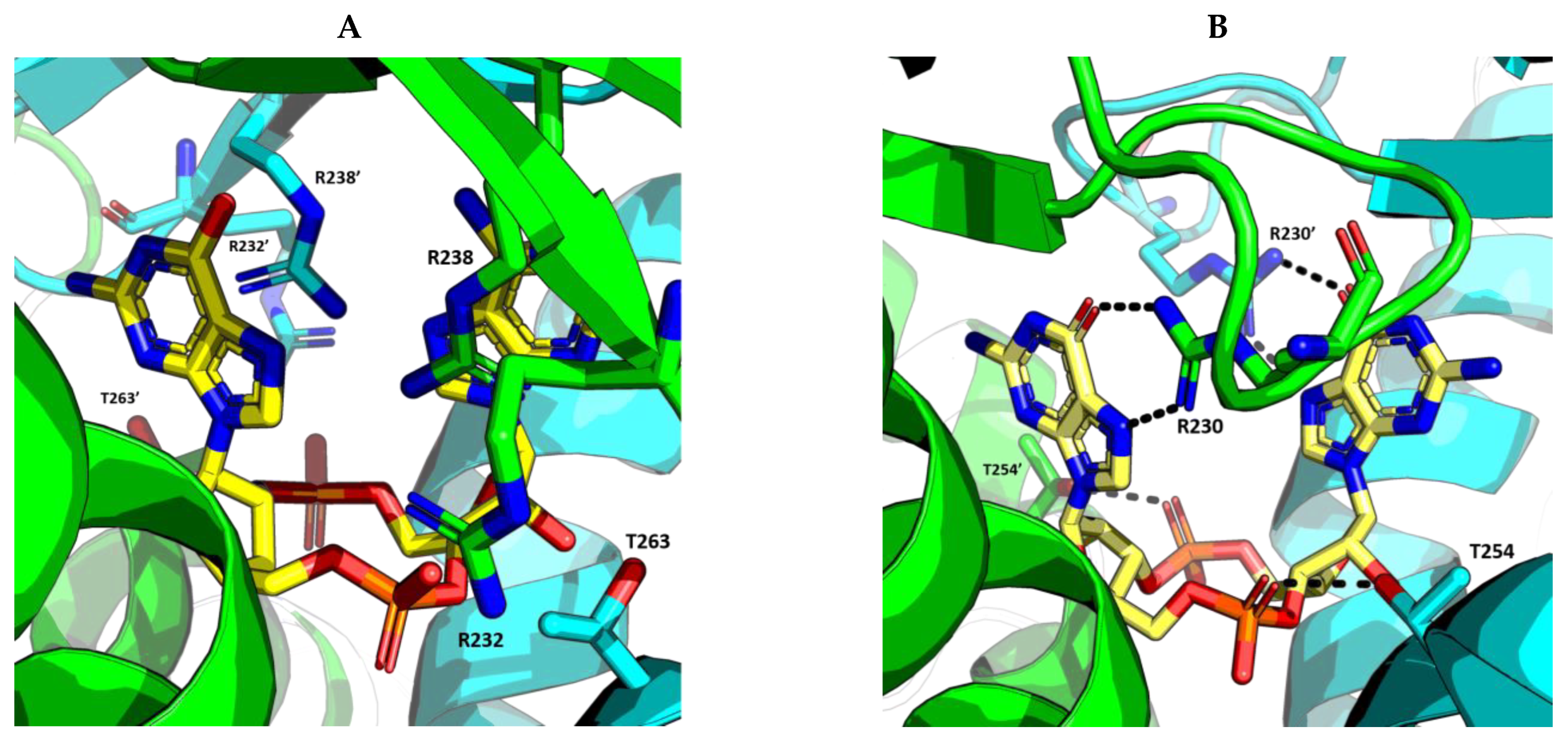 Ijms 24 09032 g005 Ijms 24 09032 g005