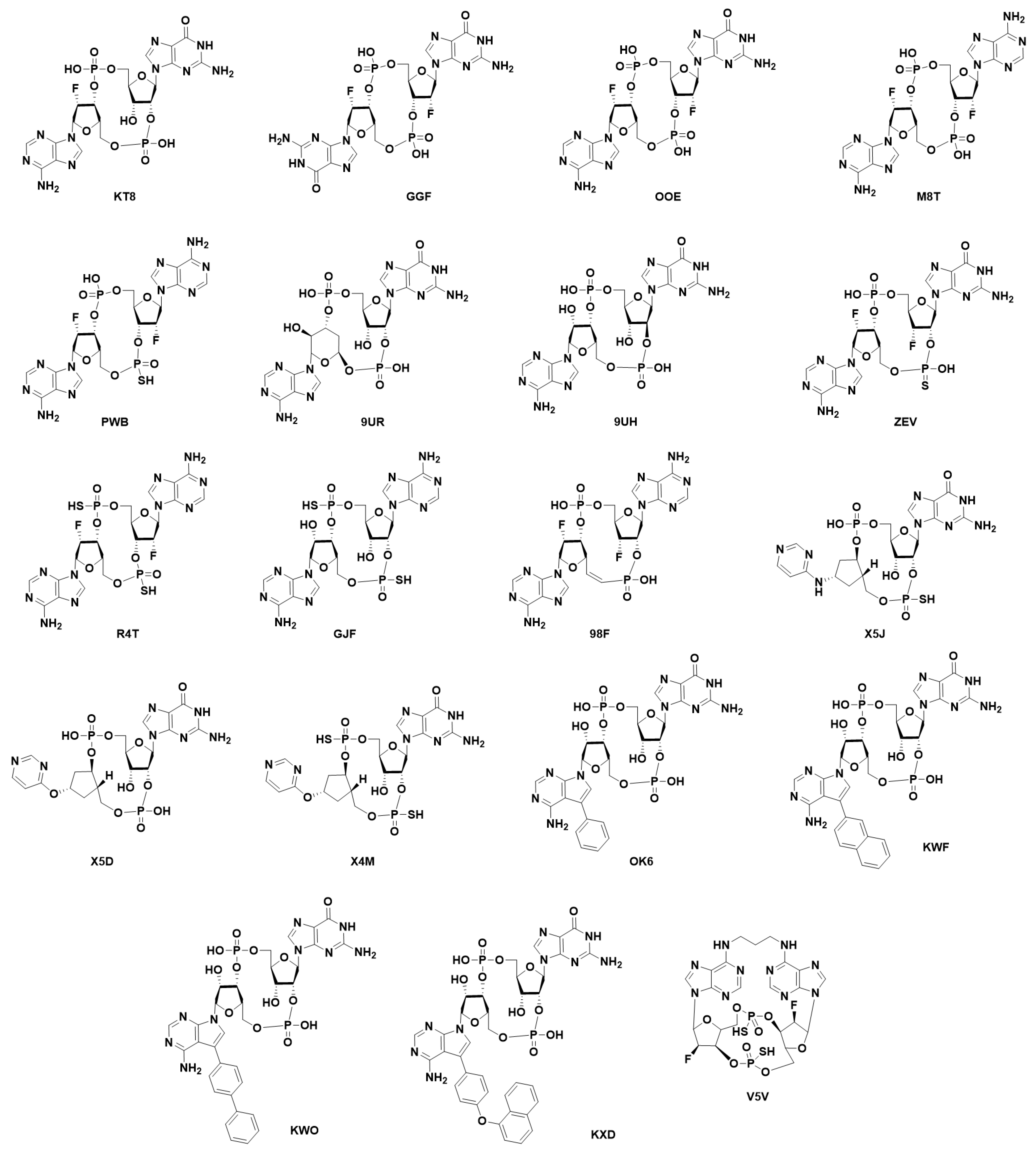 Ijms 24 09032 g006 Ijms 24 09032 g006