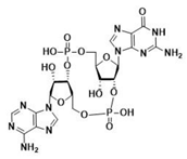 Ijms 24 09032 i001 Ijms 24 09032 i001