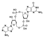 Ijms 24 09032 i003 Ijms 24 09032 i003