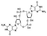 Ijms 24 09032 i005 Ijms 24 09032 i005