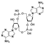 Ijms 24 09032 i007 Ijms 24 09032 i007