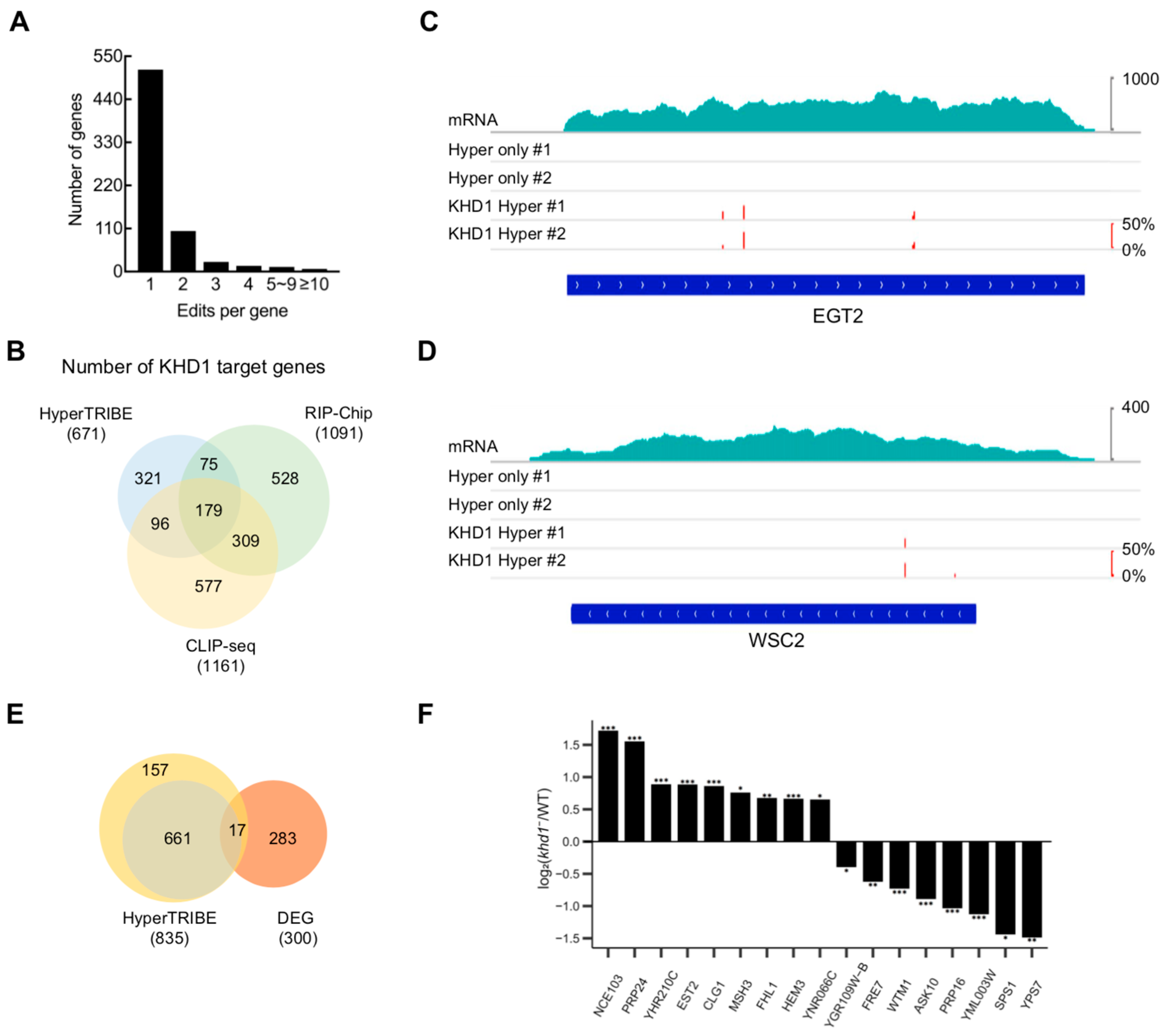 Ijms 24 09033 g002 Ijms 24 09033 g002