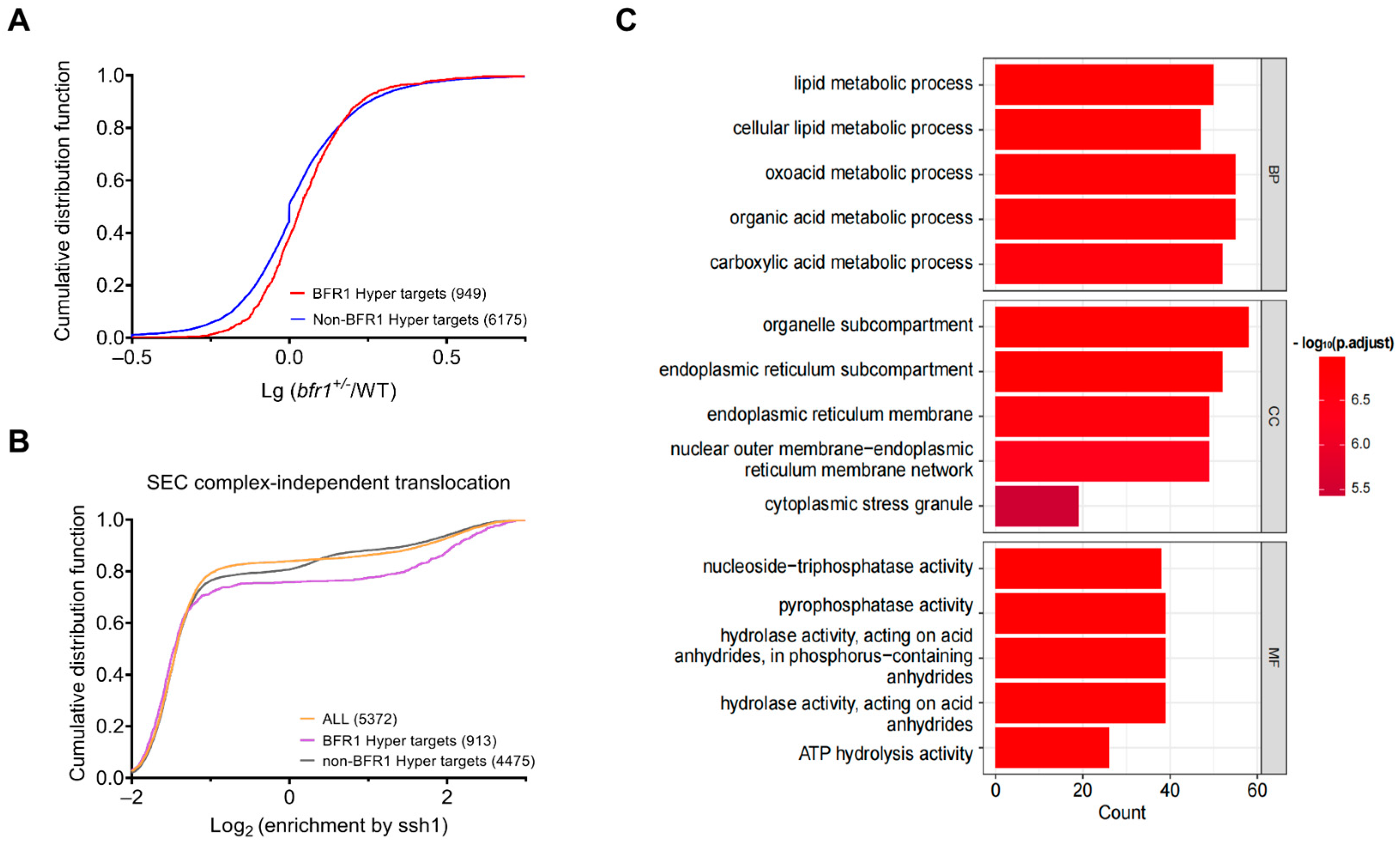 Ijms 24 09033 g006 Ijms 24 09033 g006