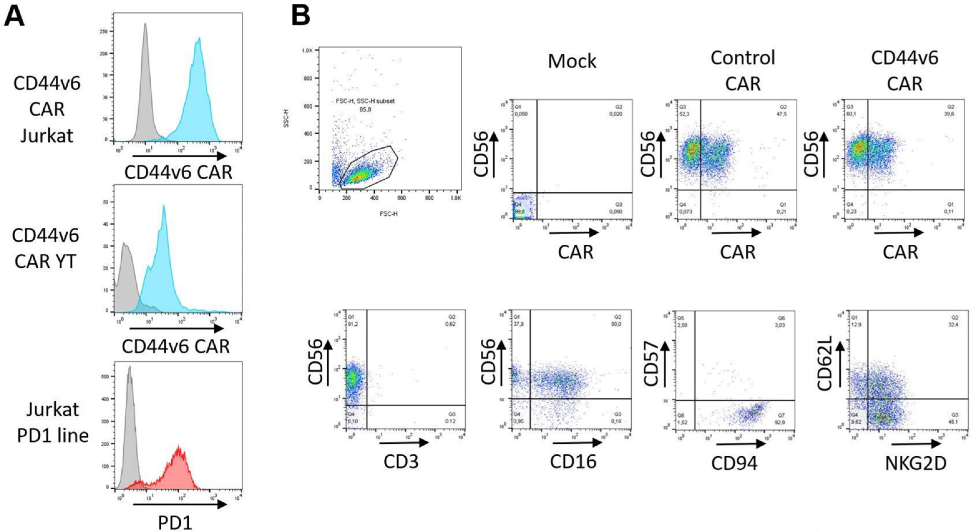 Ijms 24 09038 g002 Ijms 24 09038 g002
