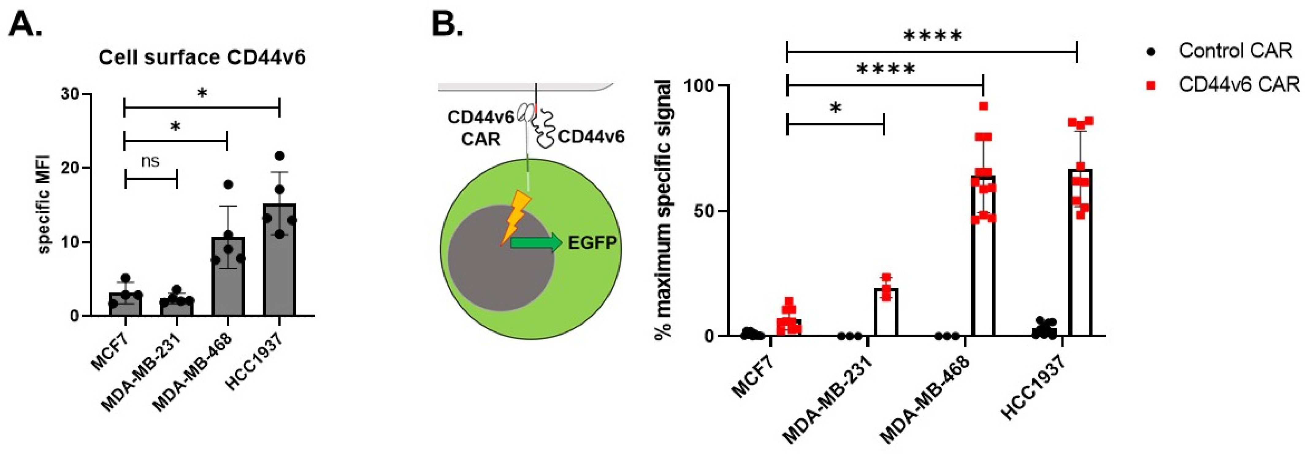 Ijms 24 09038 g003 Ijms 24 09038 g003