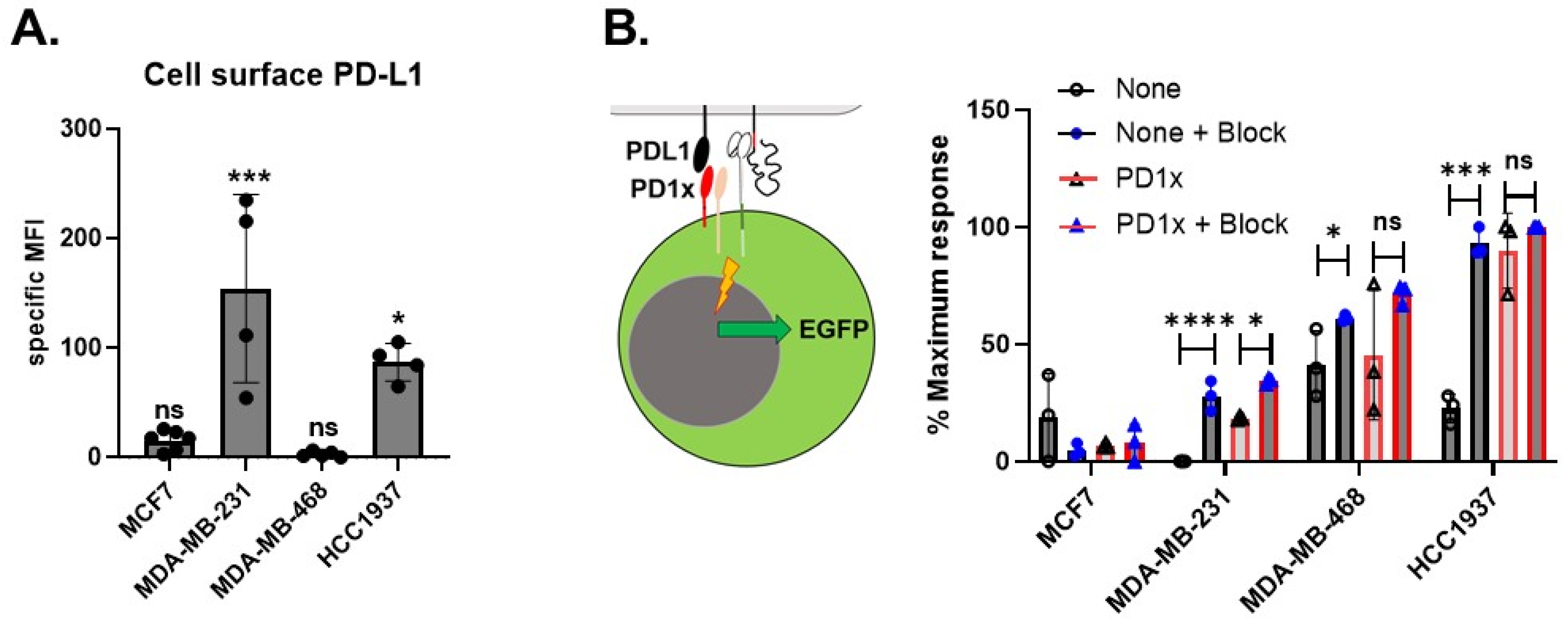 Ijms 24 09038 g004 Ijms 24 09038 g004
