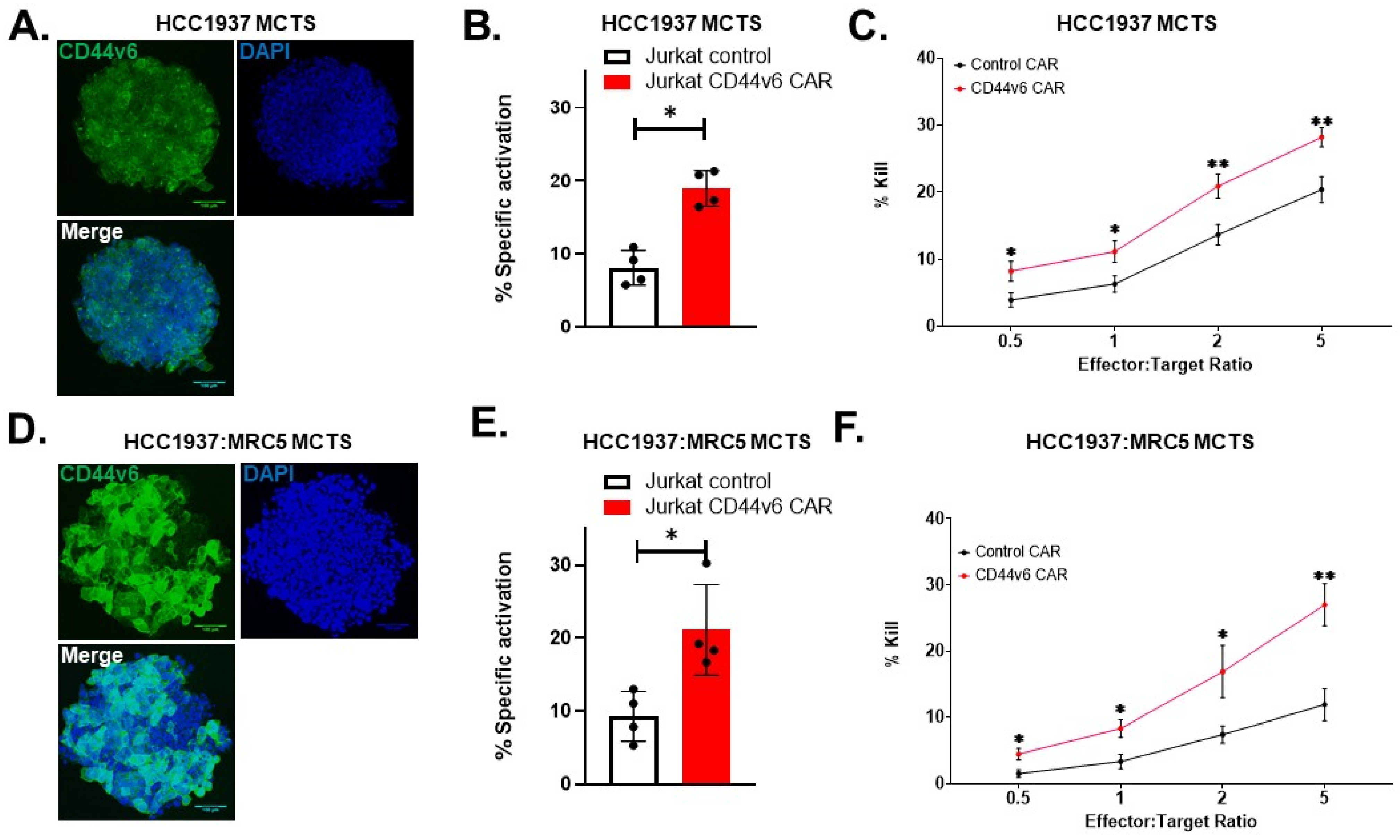 Ijms 24 09038 g007 Ijms 24 09038 g007