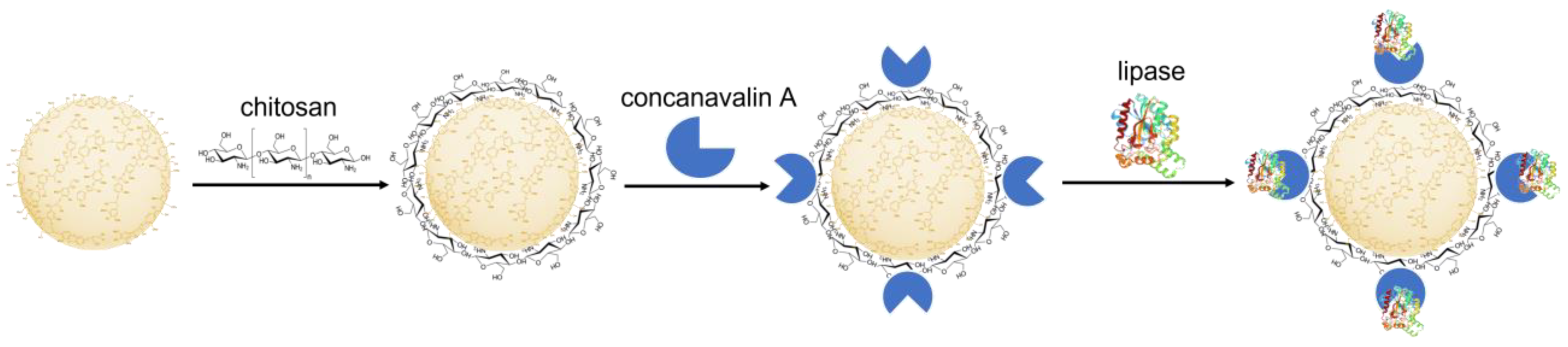 Ijms 24 09044 g001 Ijms 24 09044 g001
