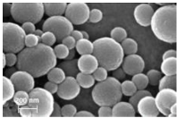 Ijms 24 09044 i007 Ijms 24 09044 i007