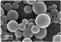 Ijms 24 09044 i008 Ijms 24 09044 i008