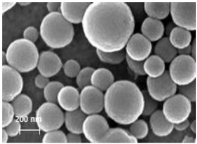 Ijms 24 09044 i010 Ijms 24 09044 i010