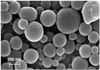 Ijms 24 09044 i011 Ijms 24 09044 i011