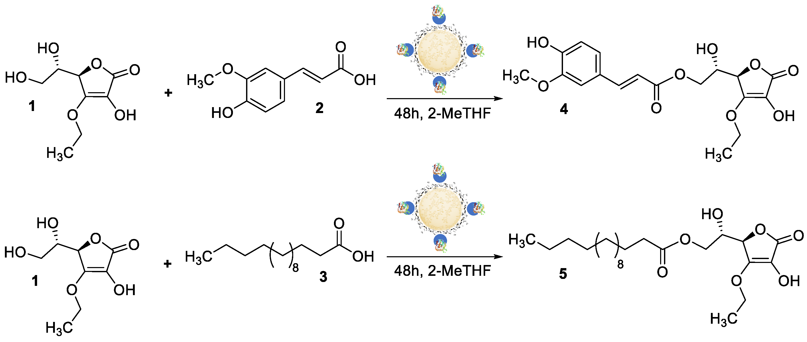 Ijms 24 09044 sch002 Ijms 24 09044 sch002