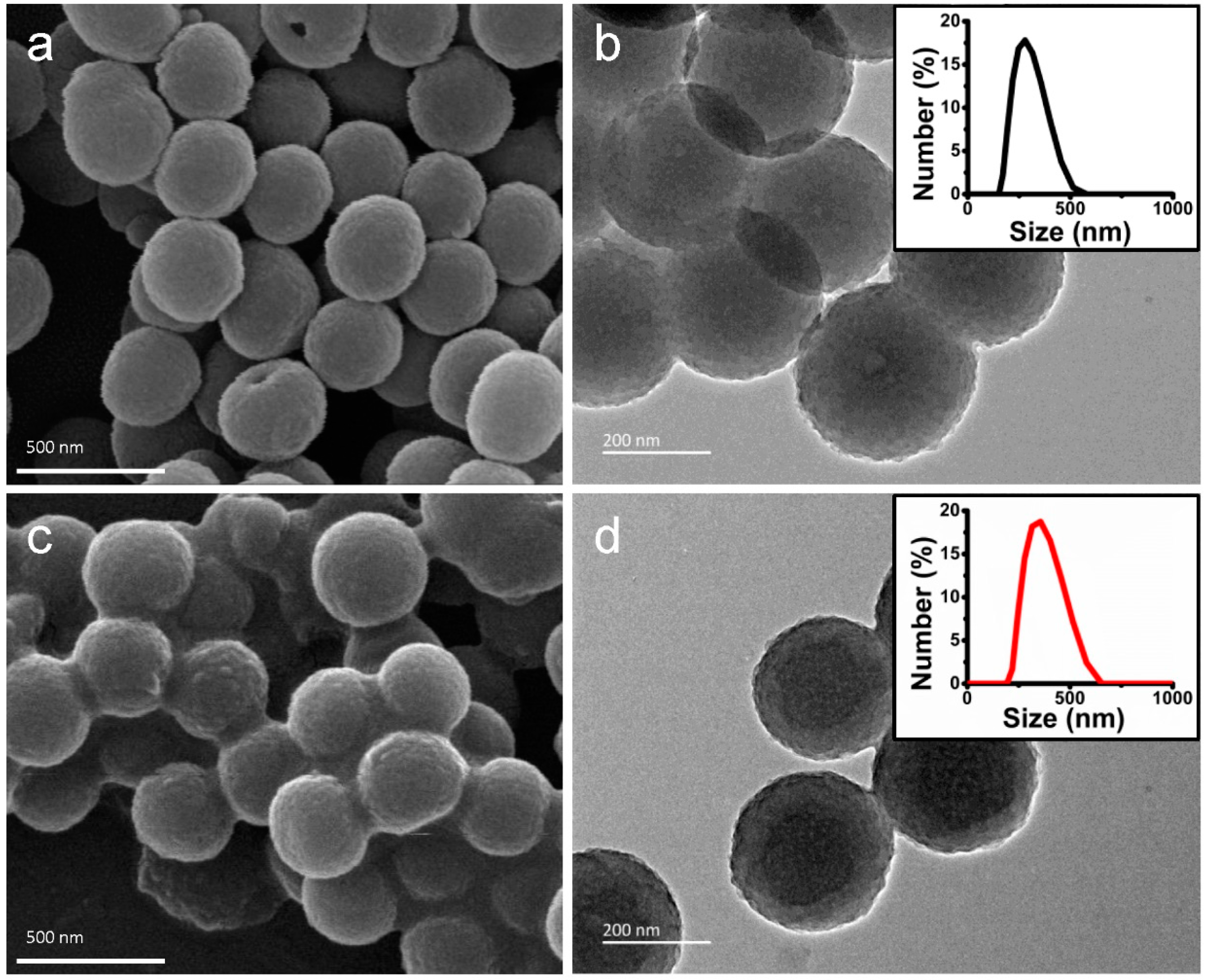 Ijms 24 09055 g001 Ijms 24 09055 g001
