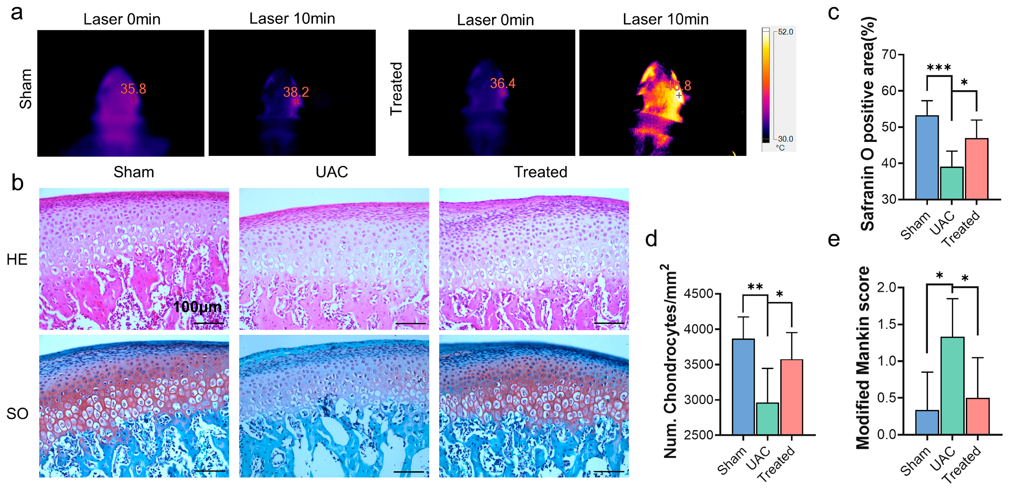 Ijms 24 09055 g006 Ijms 24 09055 g006
