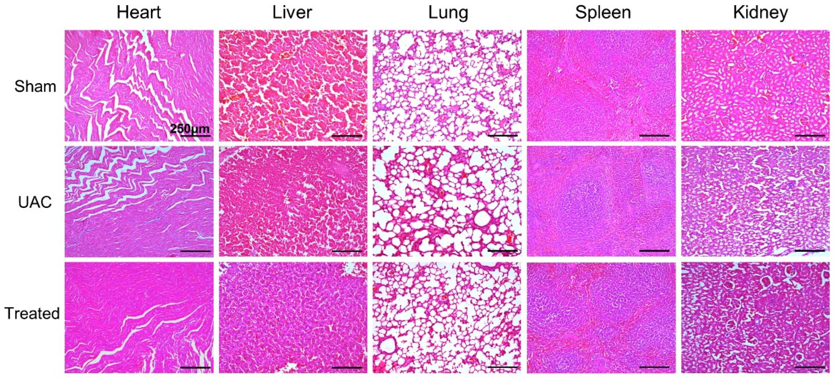 Ijms 24 09055 g007 Ijms 24 09055 g007