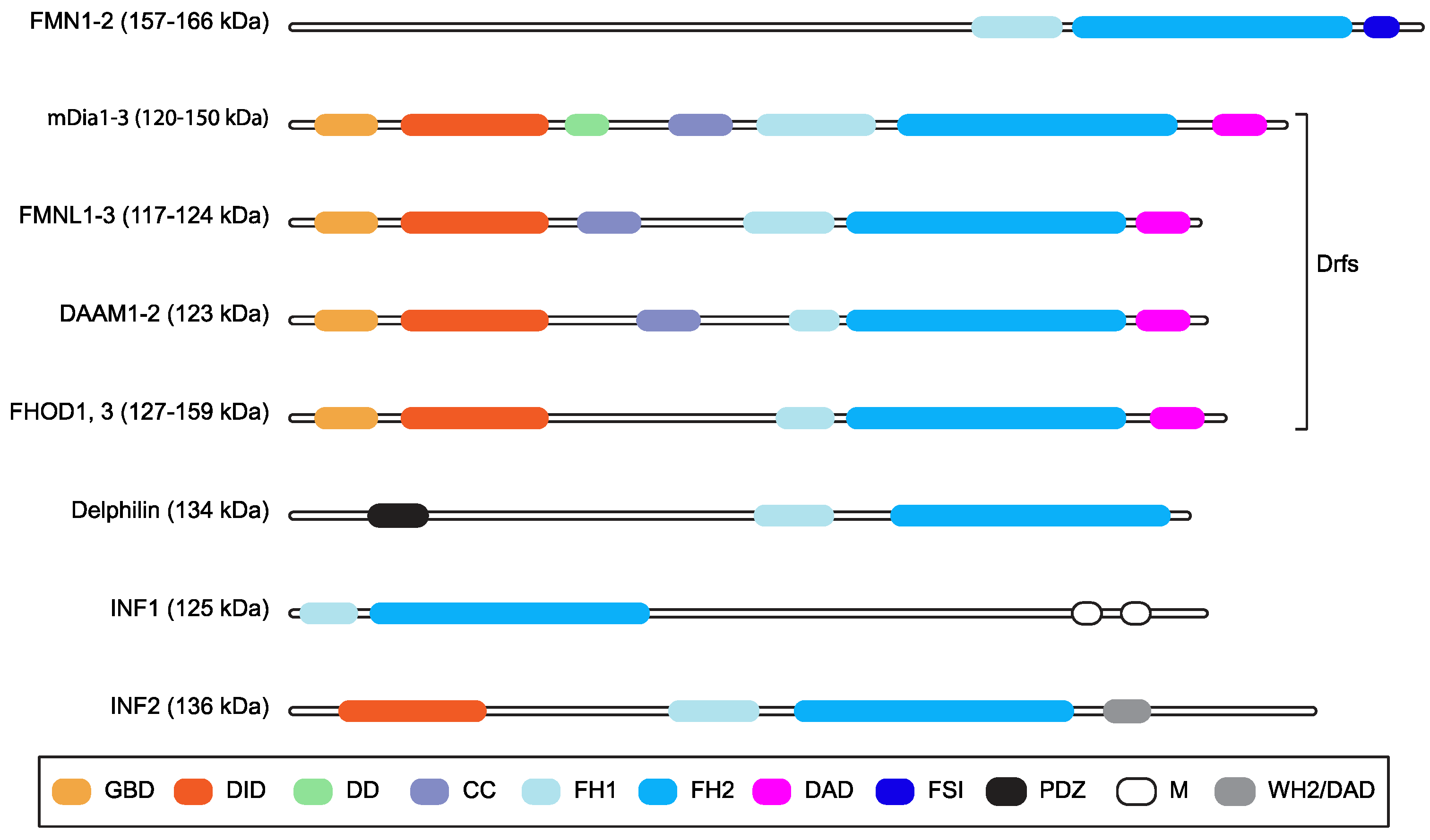 Ijms 24 09058 g001 Ijms 24 09058 g001