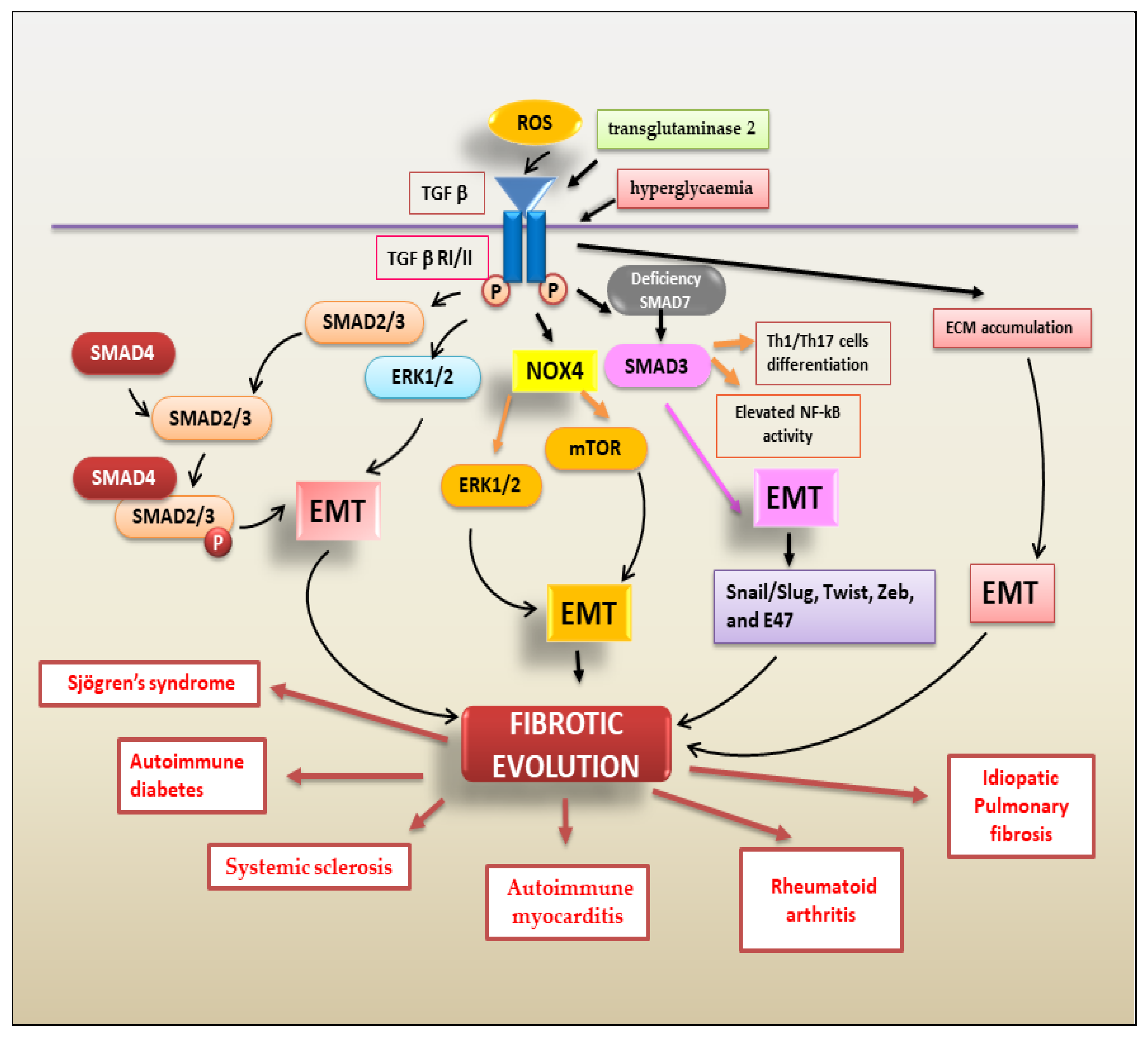 Ijms 24 09060 g003 Ijms 24 09060 g003