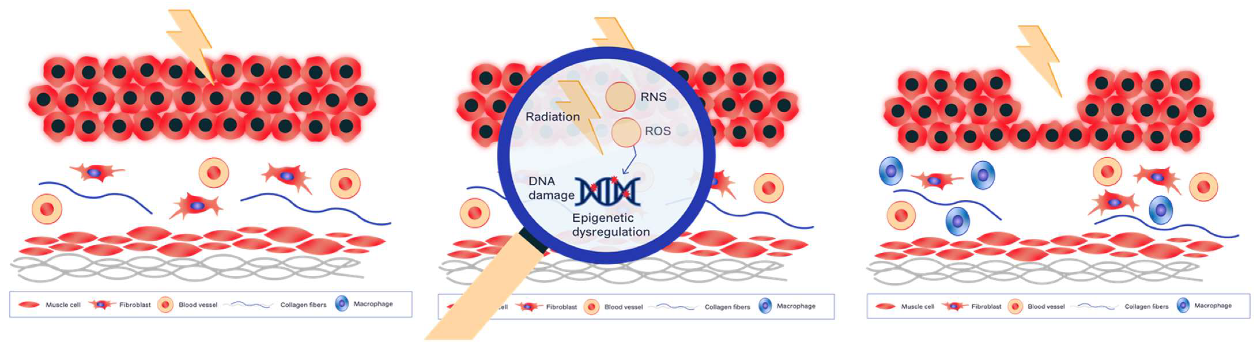 Ijms 24 09068 g001 Ijms 24 09068 g001