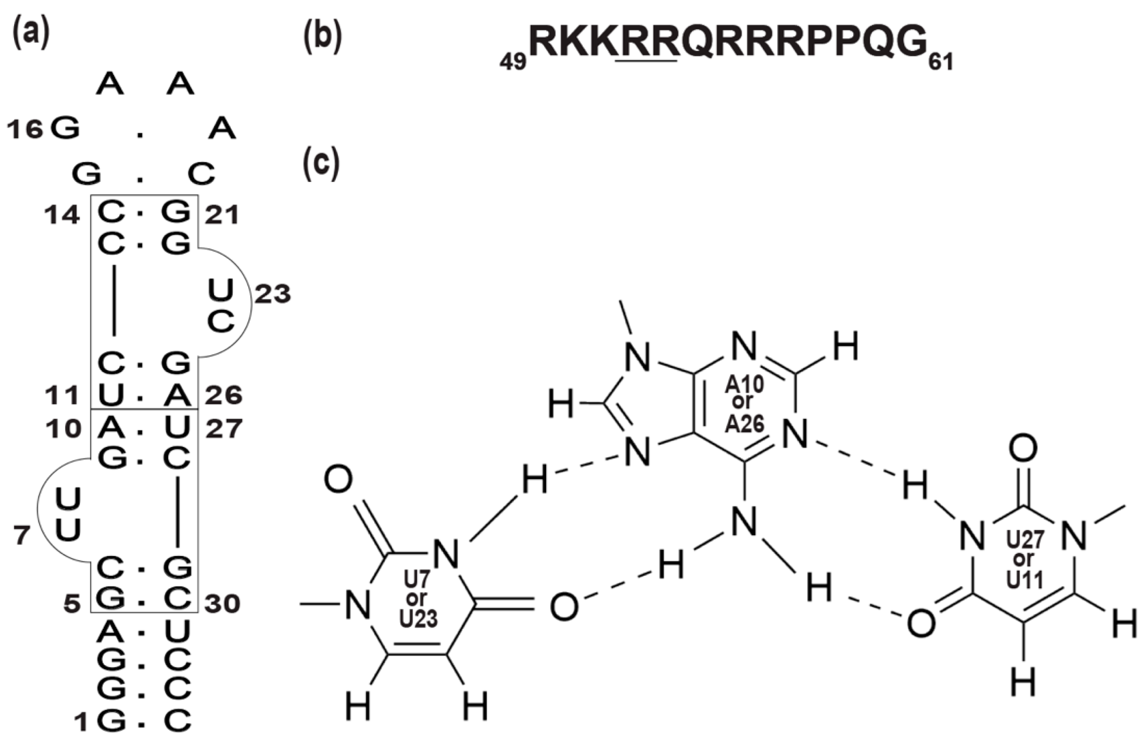 Ijms 24 09069 g001 Ijms 24 09069 g001