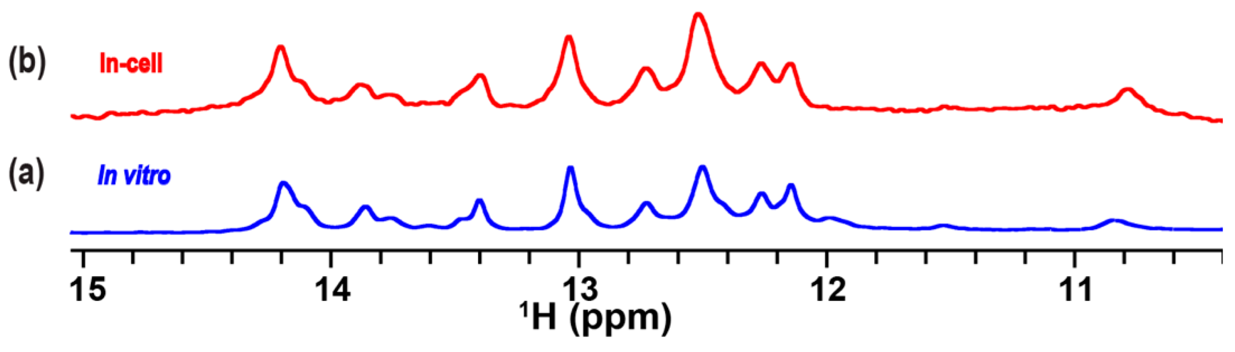 Ijms 24 09069 g006 Ijms 24 09069 g006