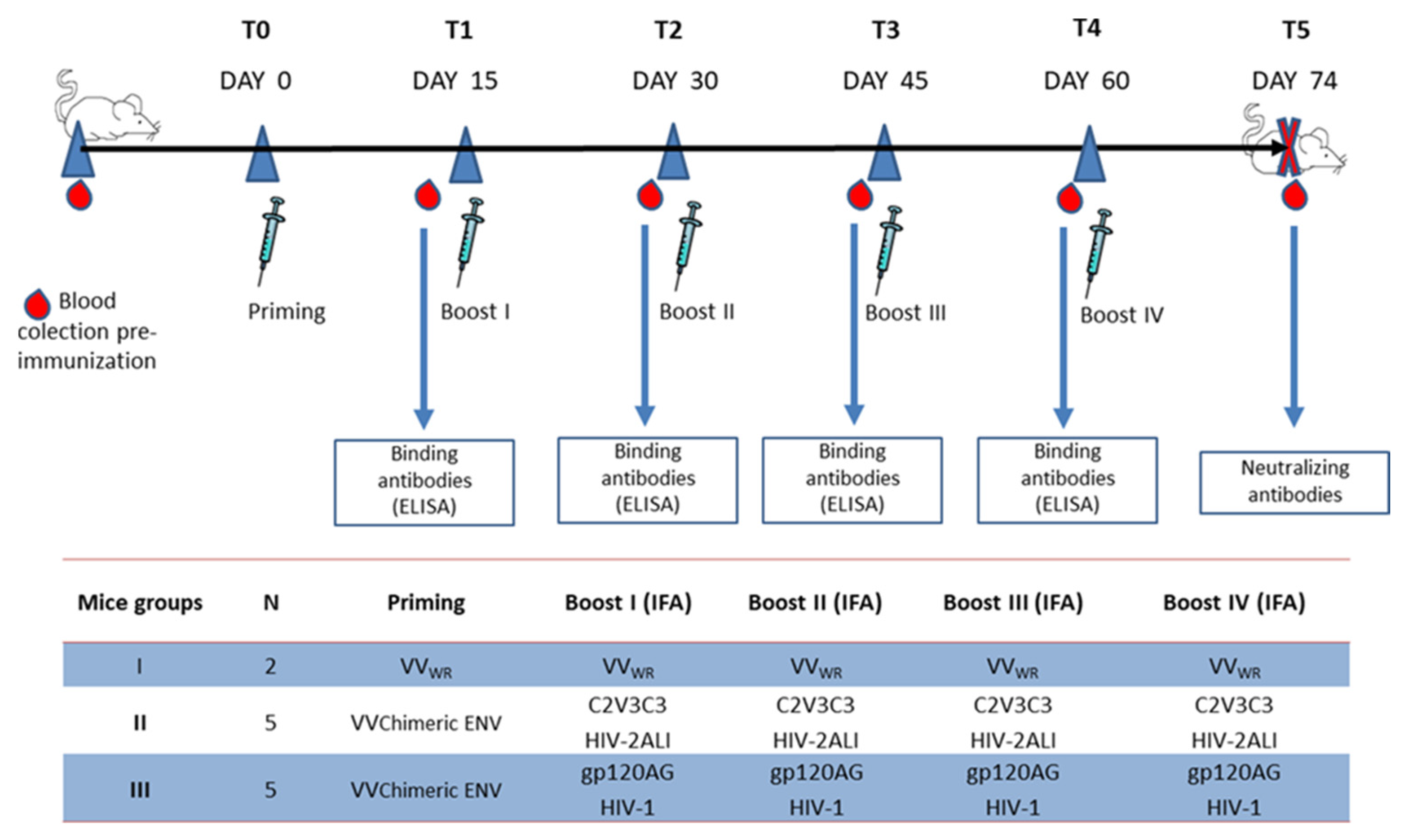 Ijms 24 09077 g002 Ijms 24 09077 g002