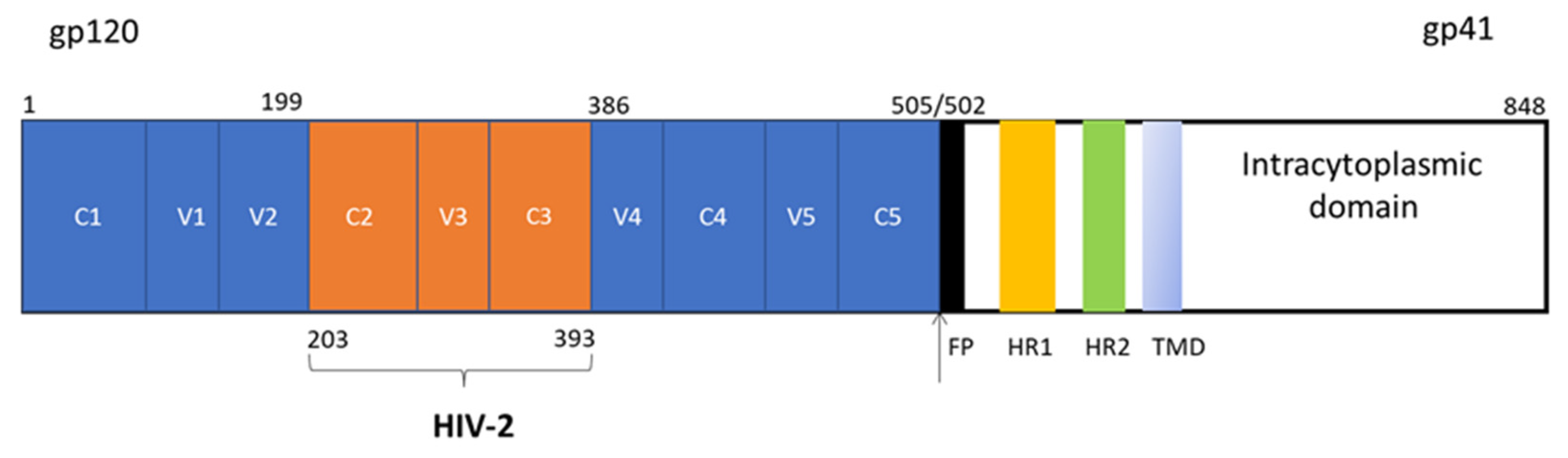 Ijms 24 09077 g006 Ijms 24 09077 g006