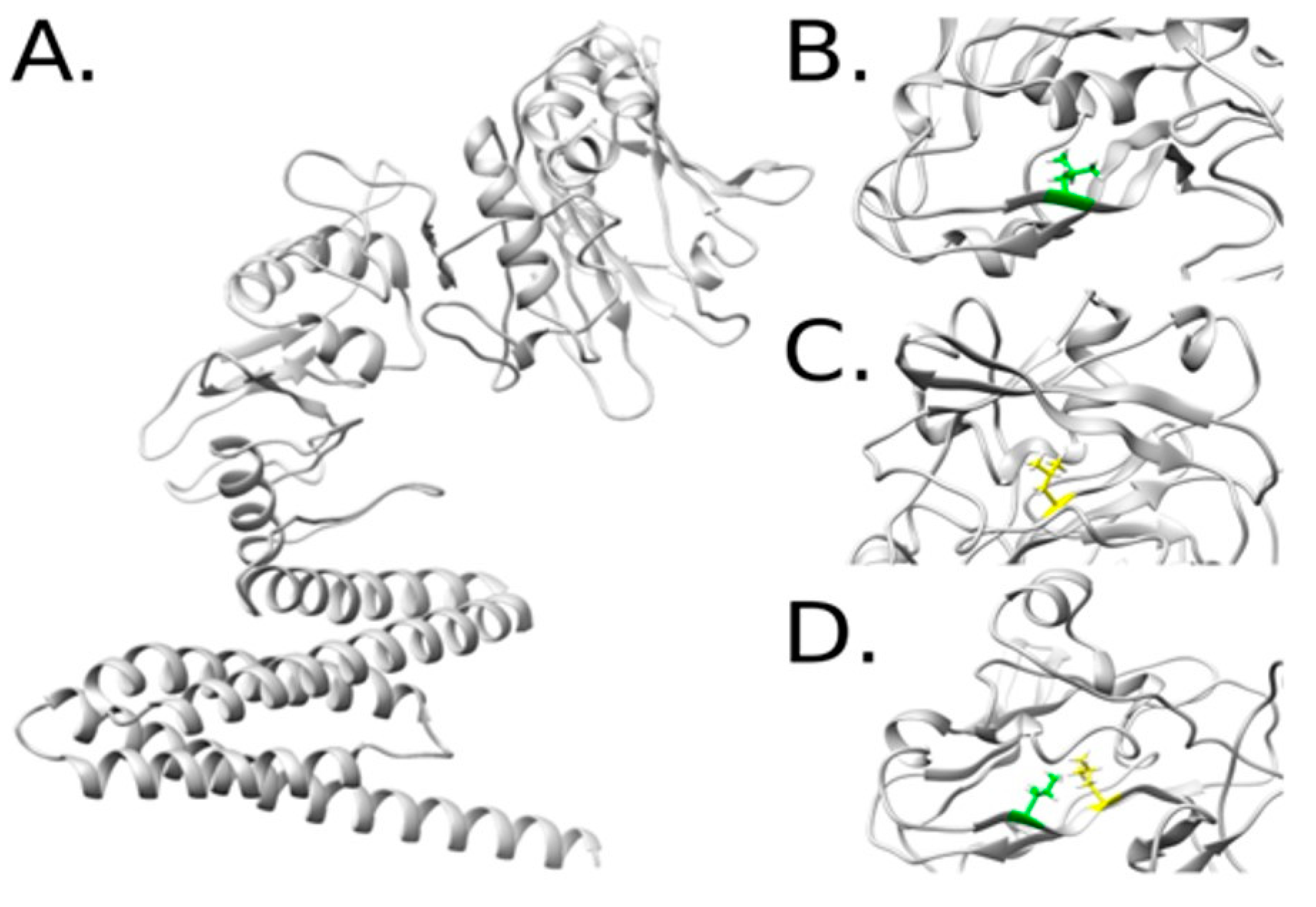 Ijms 24 09079 g002 Ijms 24 09079 g002
