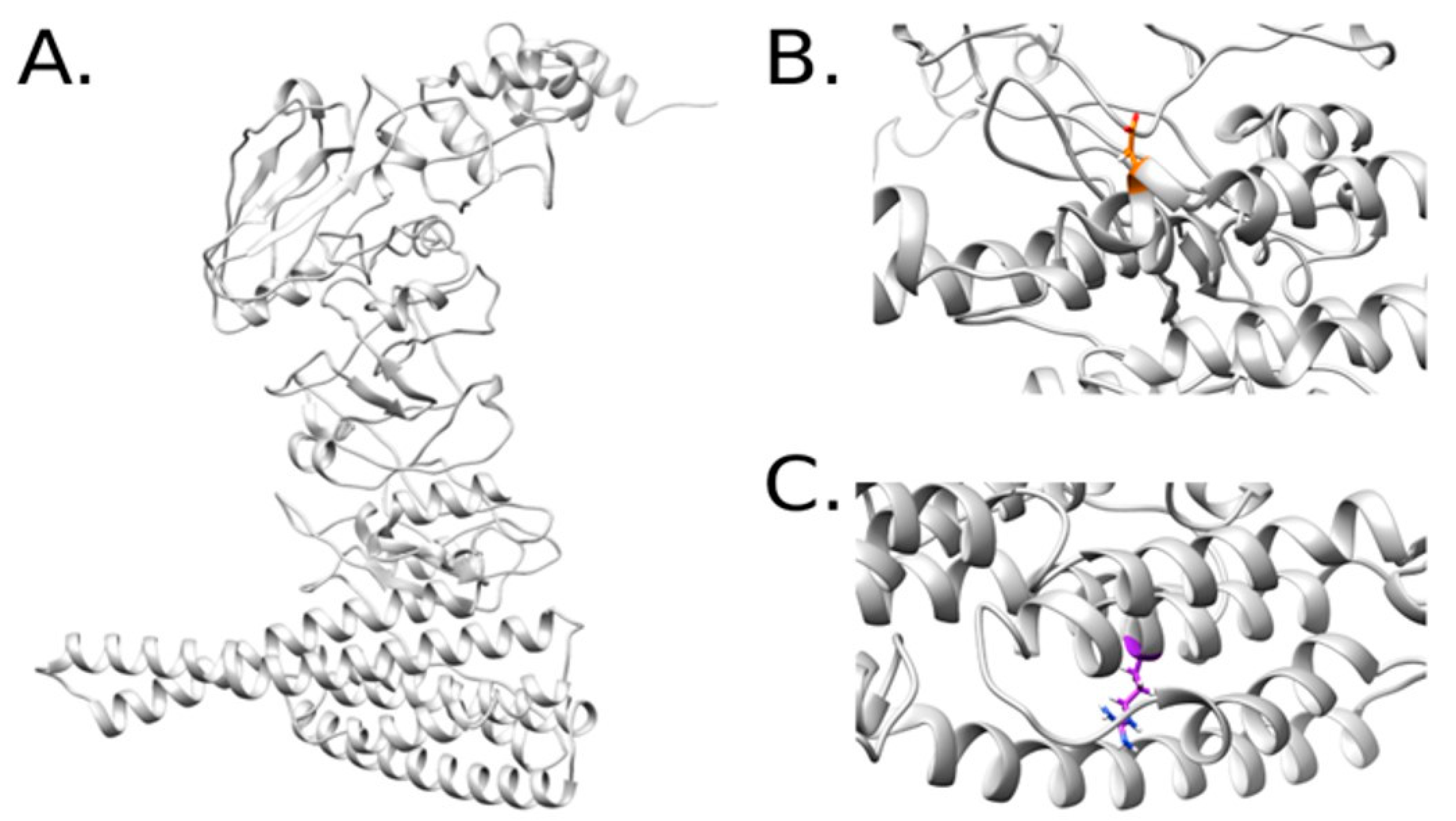 Ijms 24 09079 g003 Ijms 24 09079 g003