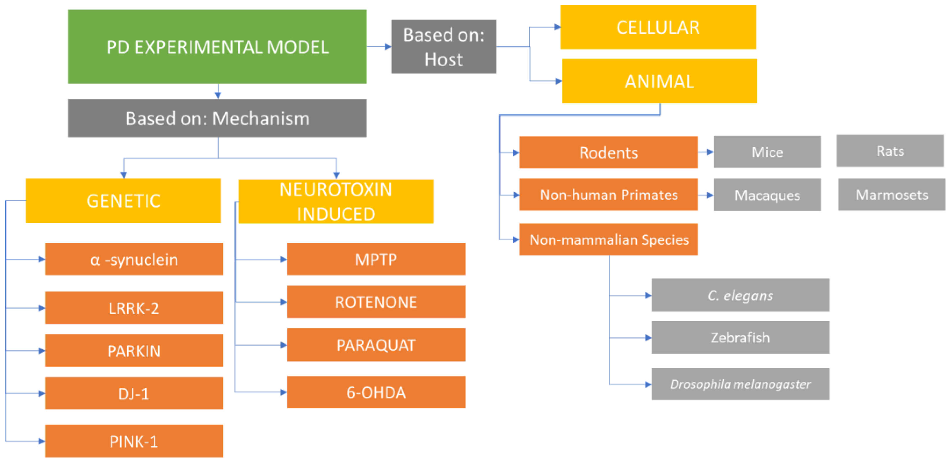 Ijms 24 09088 g001 Ijms 24 09088 g001