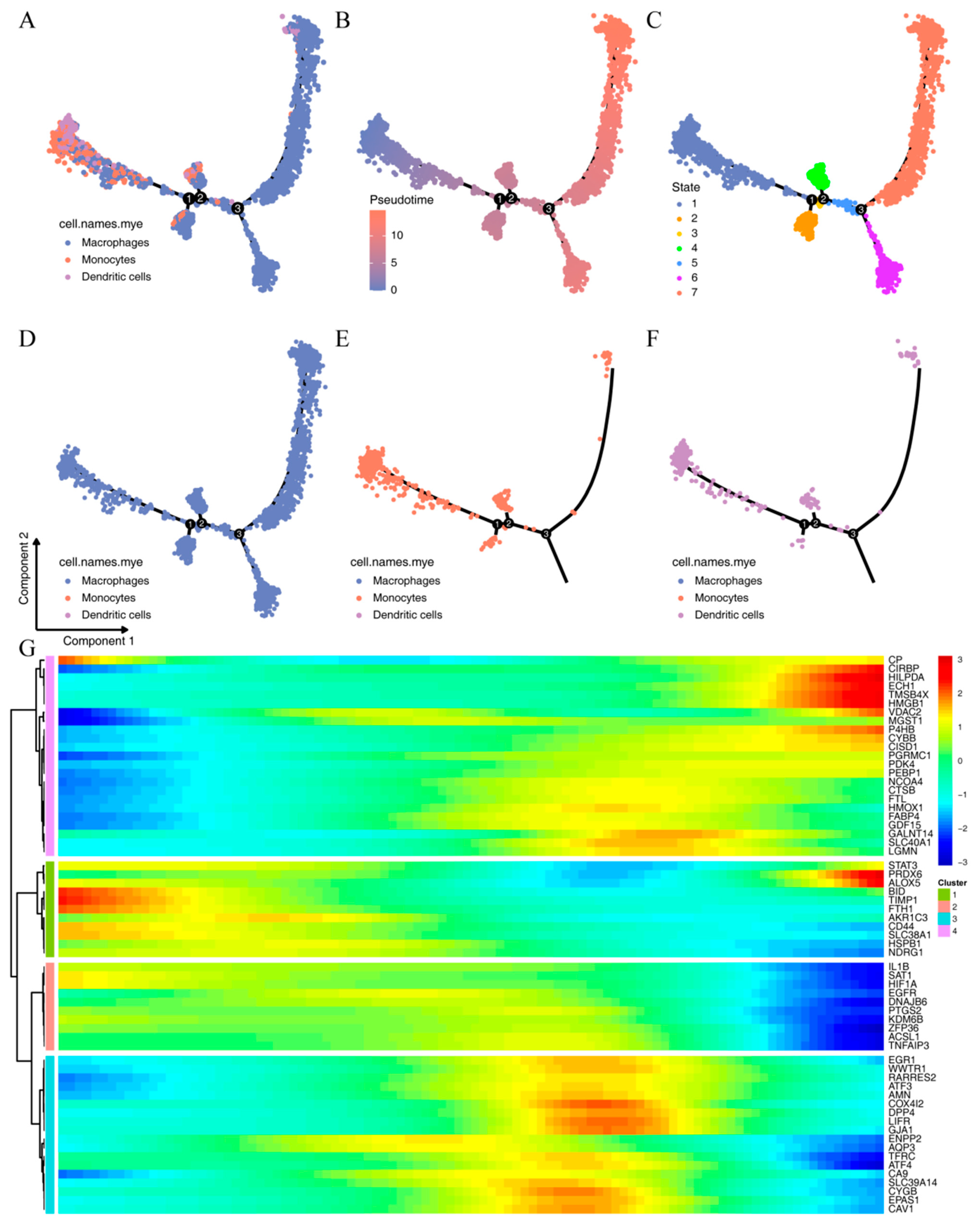 Ijms 24 09092 g005 Ijms 24 09092 g005