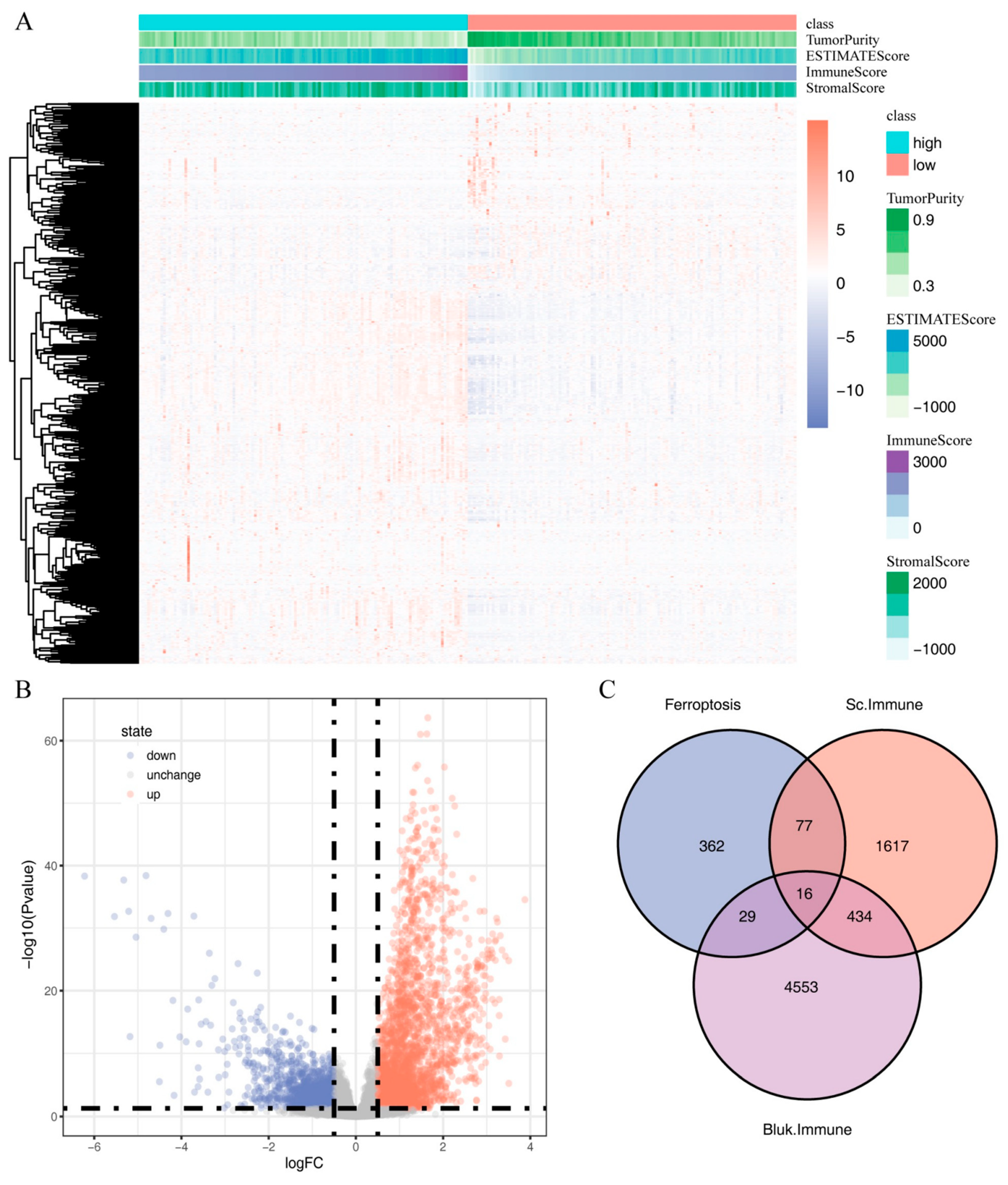 Ijms 24 09092 g006 Ijms 24 09092 g006