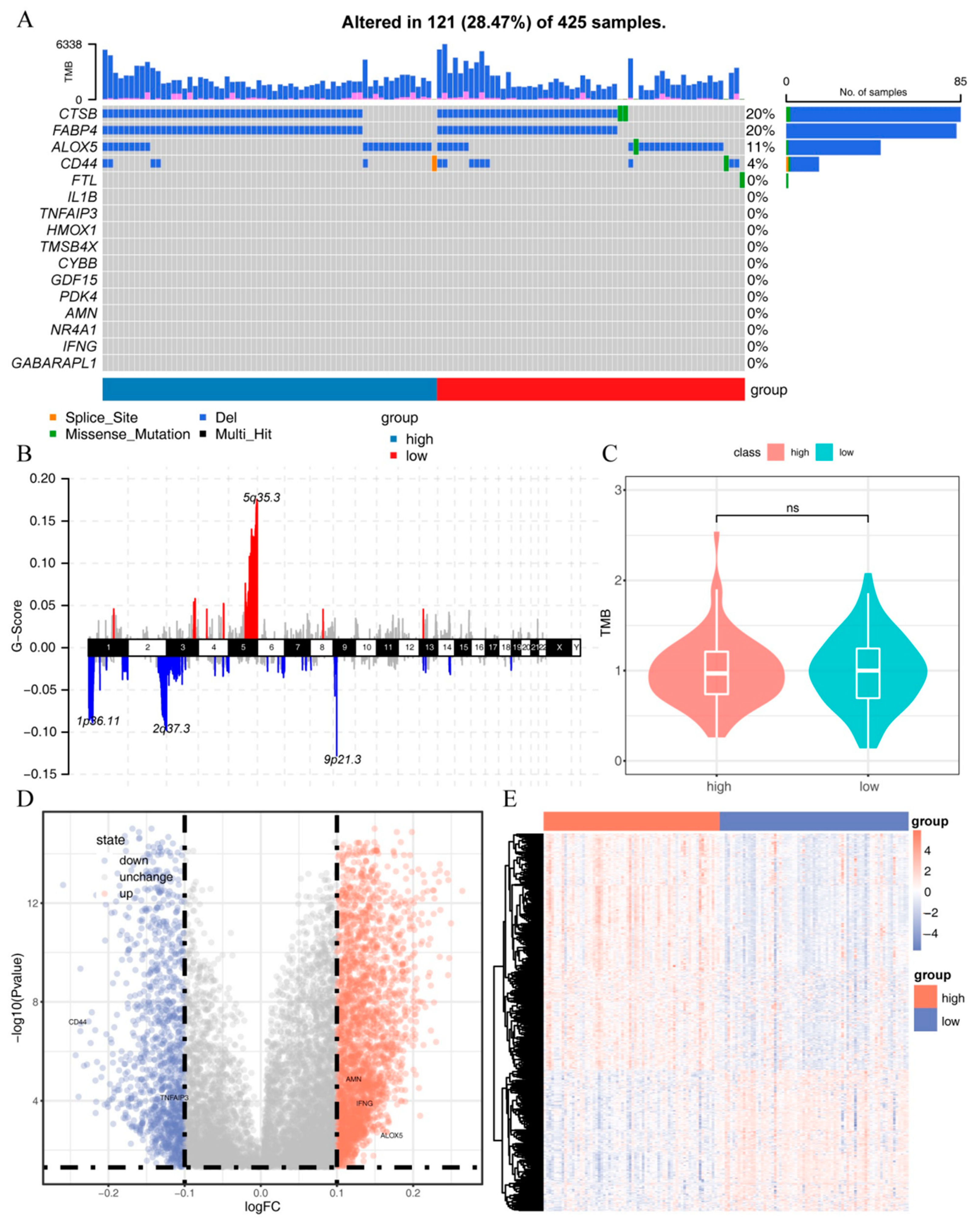Ijms 24 09092 g007 Ijms 24 09092 g007