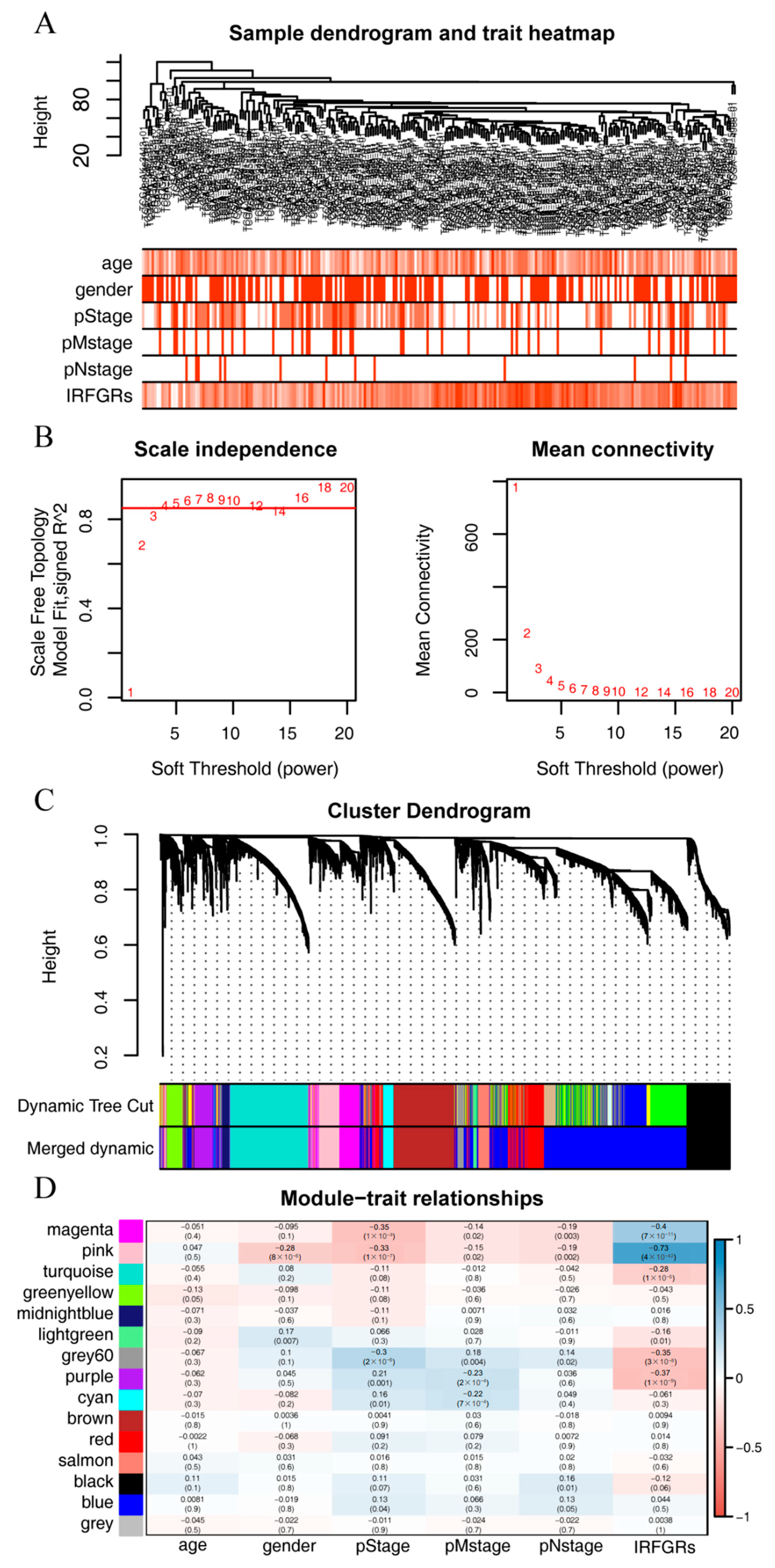 Ijms 24 09092 g011 Ijms 24 09092 g011