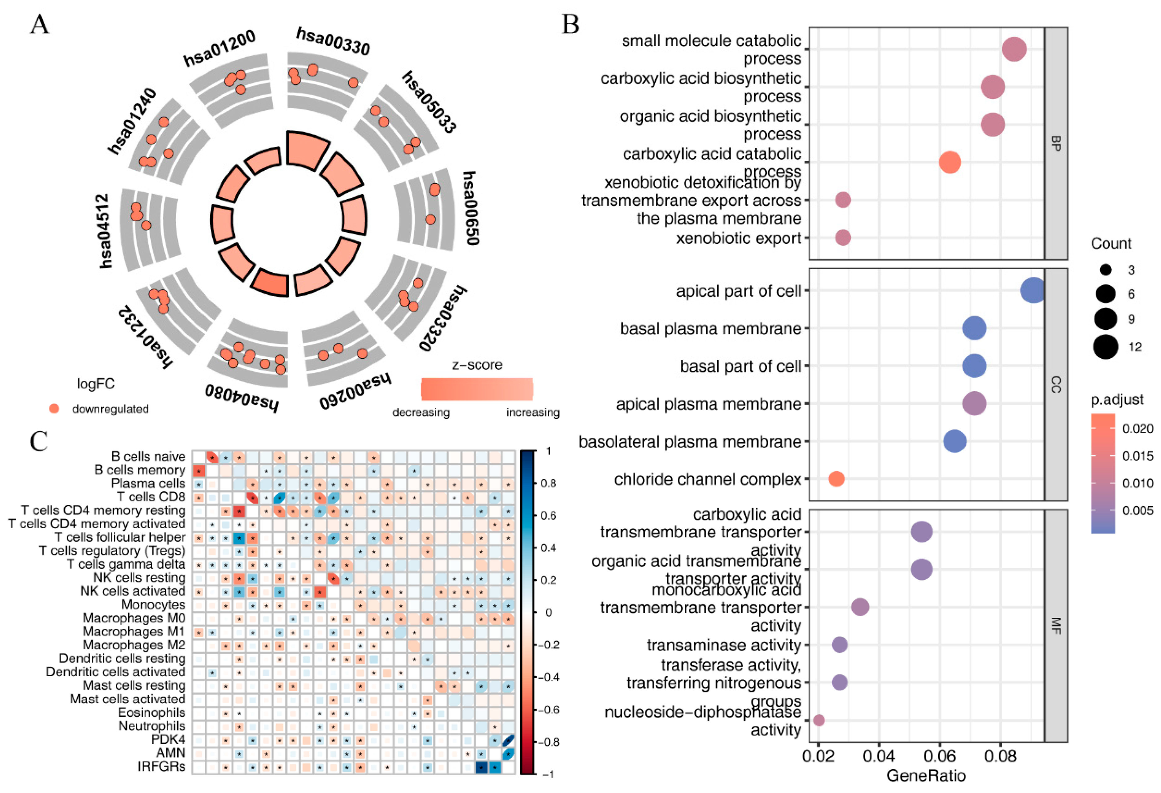 Ijms 24 09092 g012 Ijms 24 09092 g012