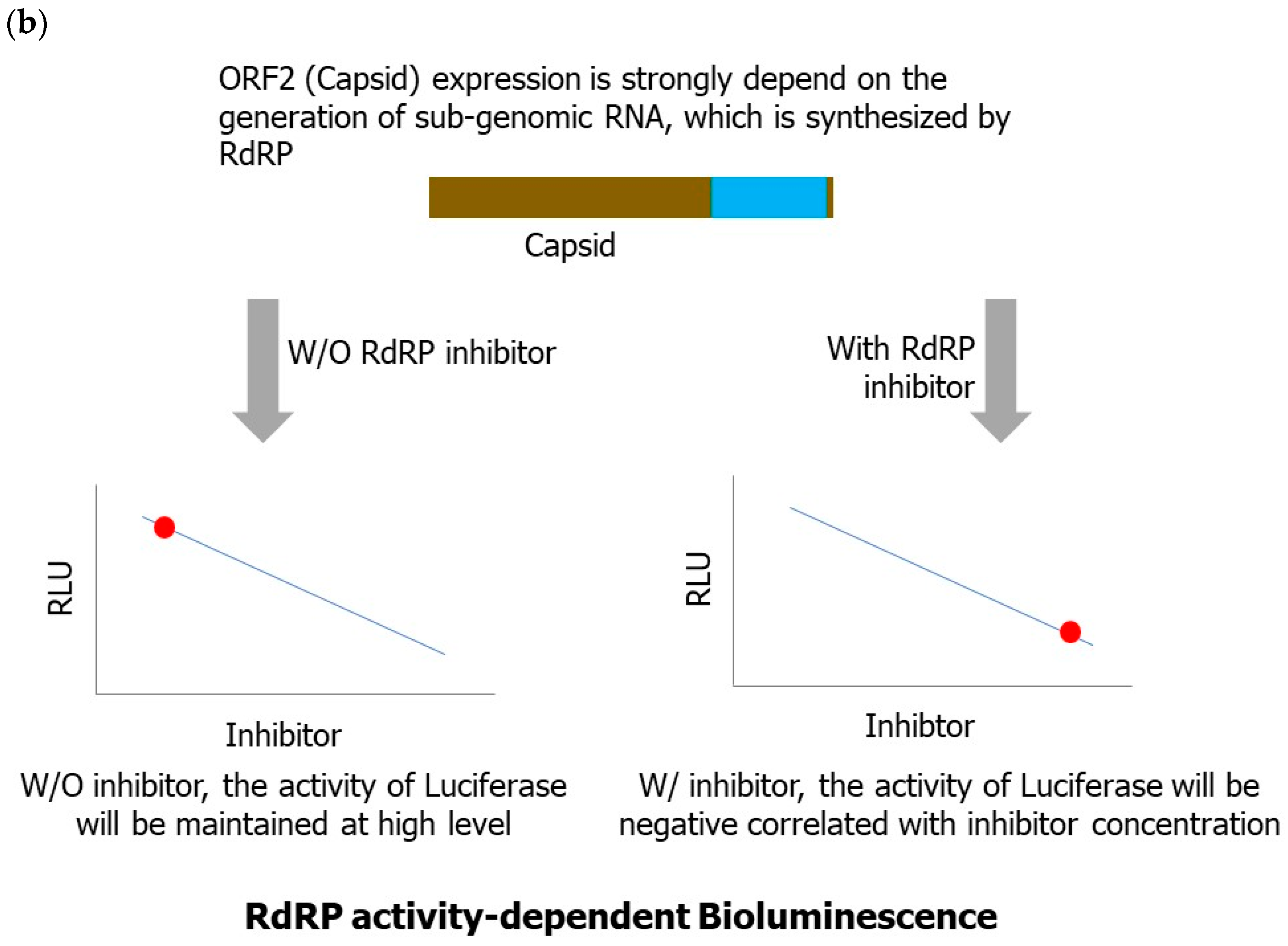 Ijms 24 09093 g002b Ijms 24 09093 g002b