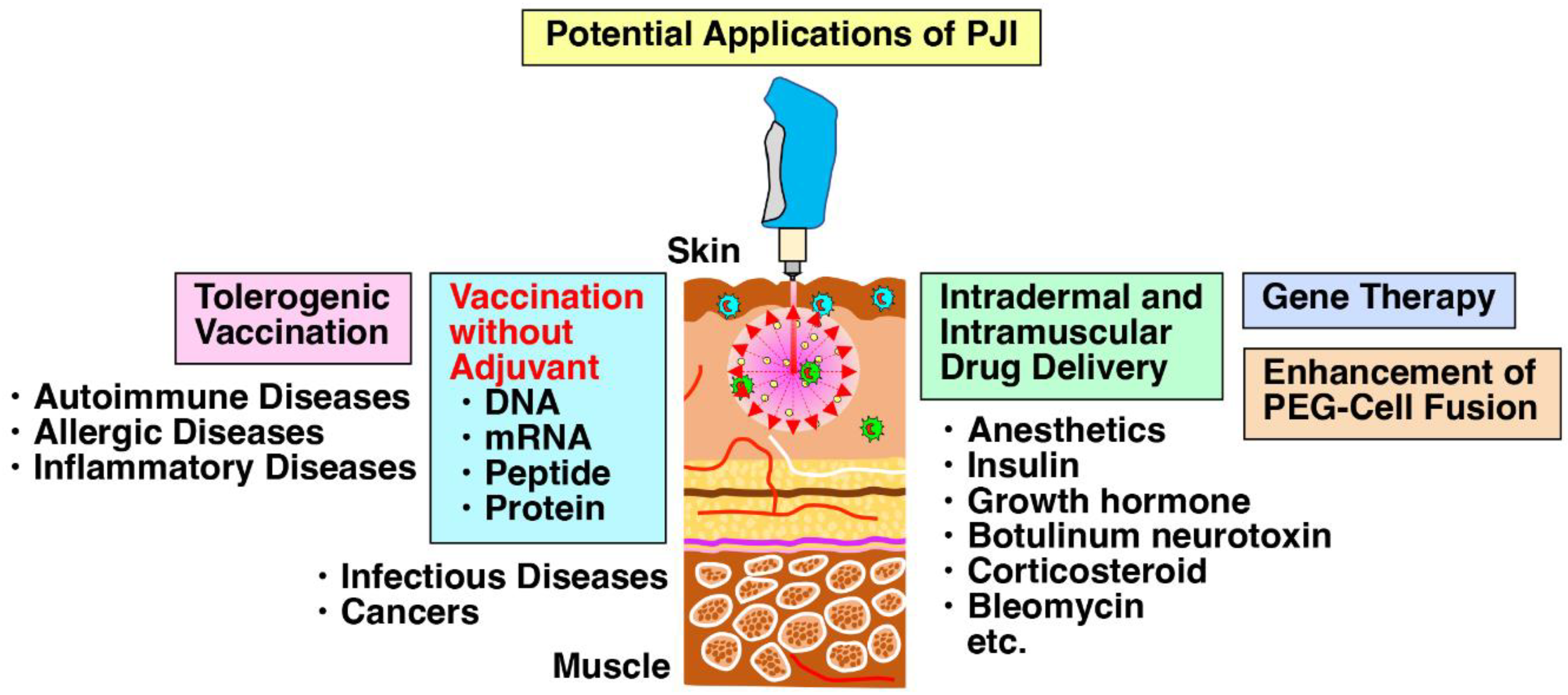 Ijms 24 09094 g006 Ijms 24 09094 g006