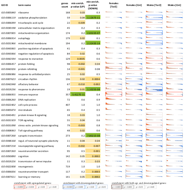 Ijms 24 09095 g002 Ijms 24 09095 g002