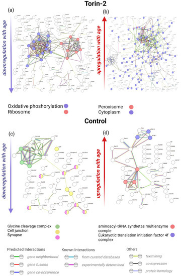Transcriptomic Analysis of the Effect of Torin-2 on the Central Nervous ...