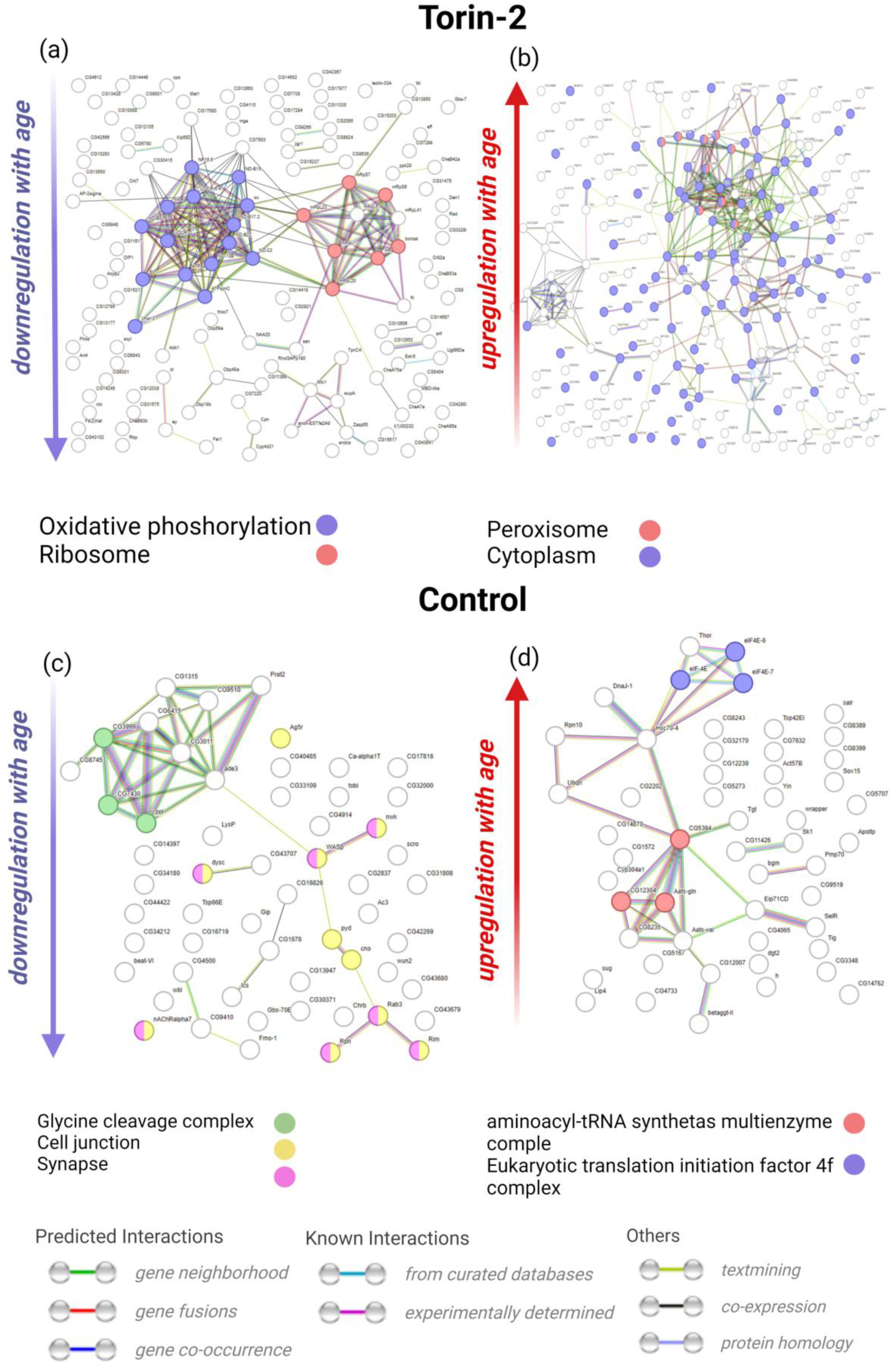Ijms 24 09095 g003 Ijms 24 09095 g003