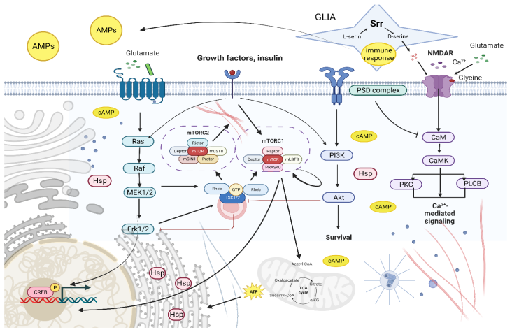 Ijms 24 09095 g005 Ijms 24 09095 g005