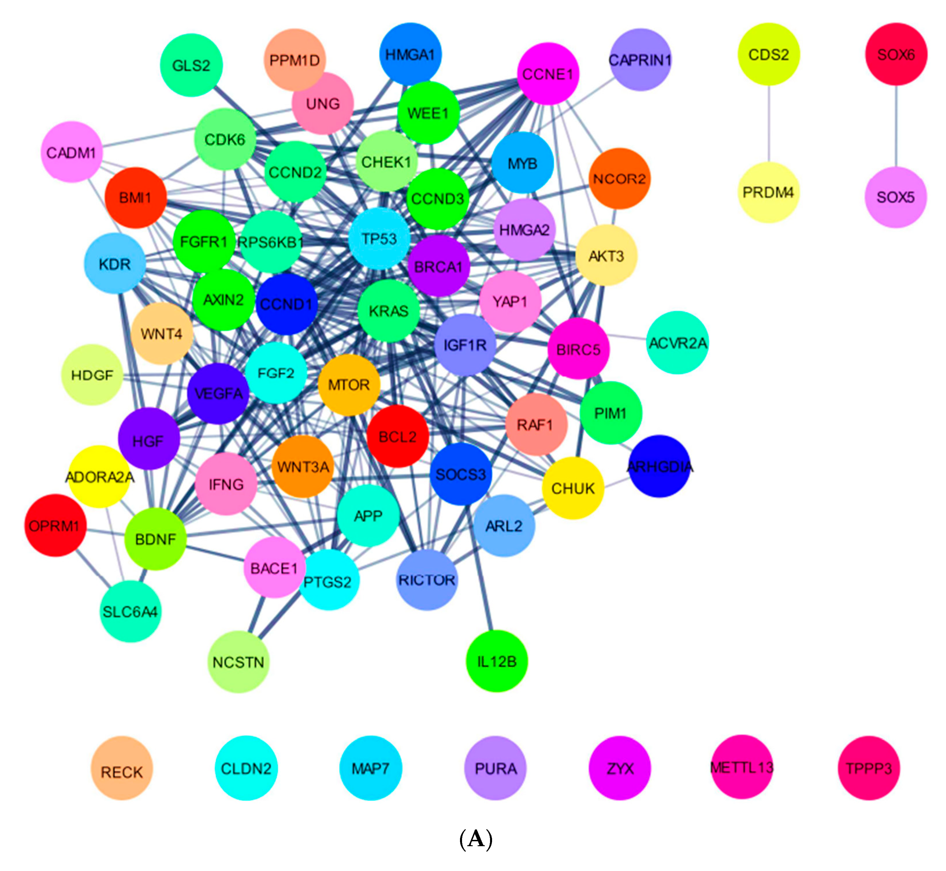 Ijms 24 09101 g004a Ijms 24 09101 g004a