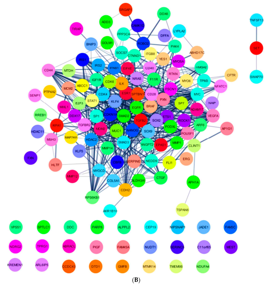 Ijms 24 09101 g004b Ijms 24 09101 g004b