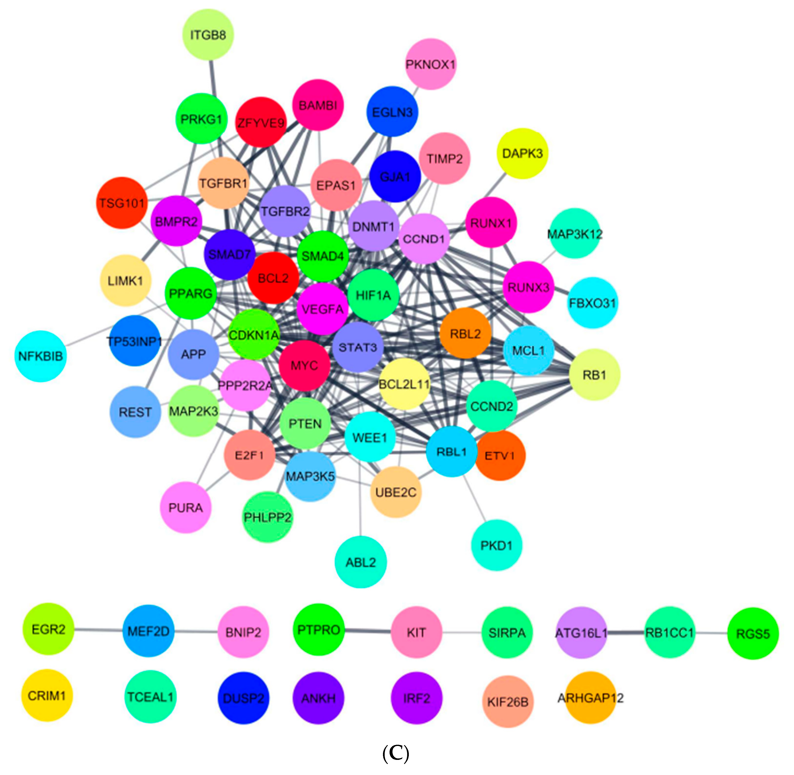 Ijms 24 09101 g004c Ijms 24 09101 g004c