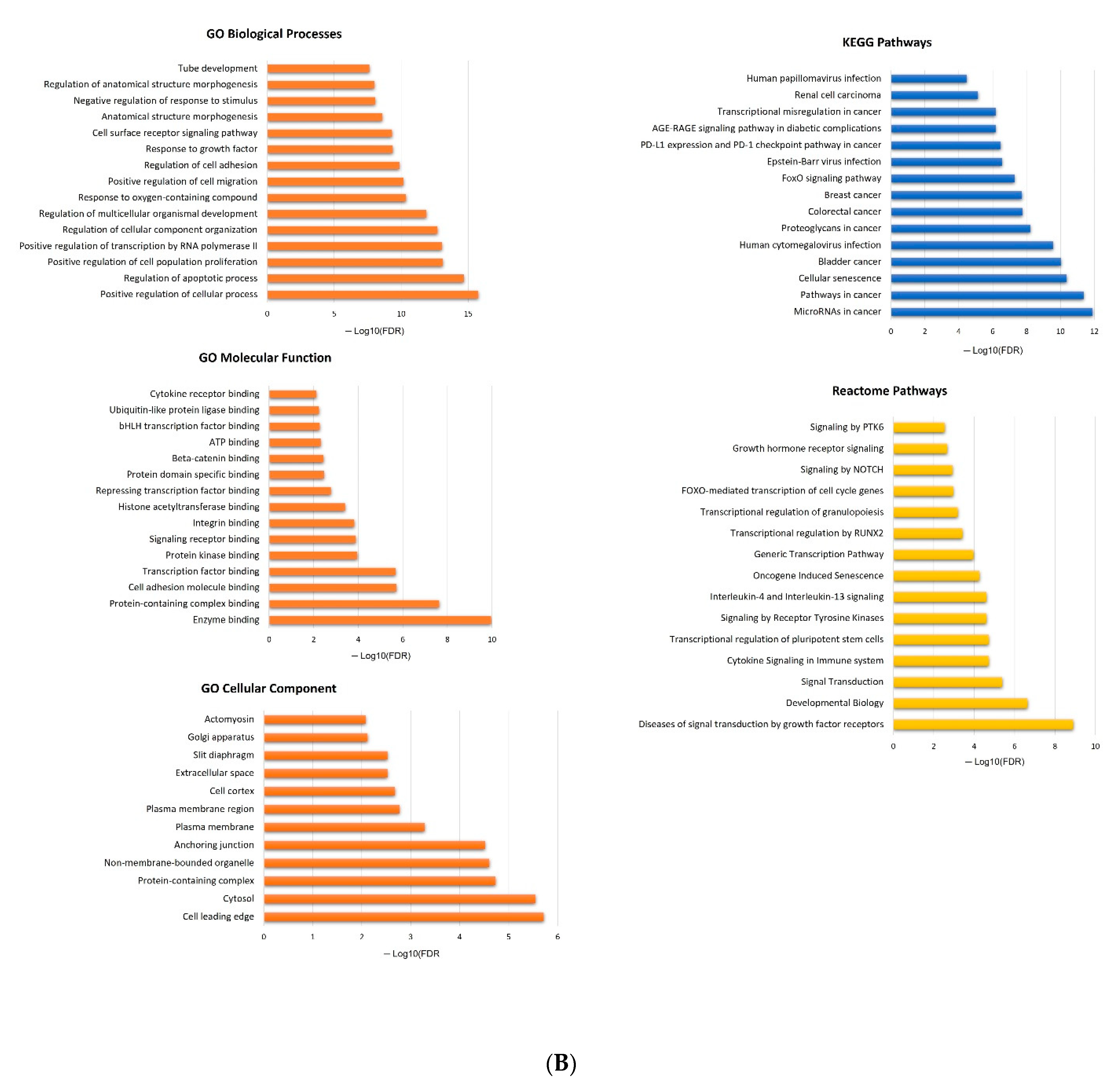 Ijms 24 09101 g005b Ijms 24 09101 g005b